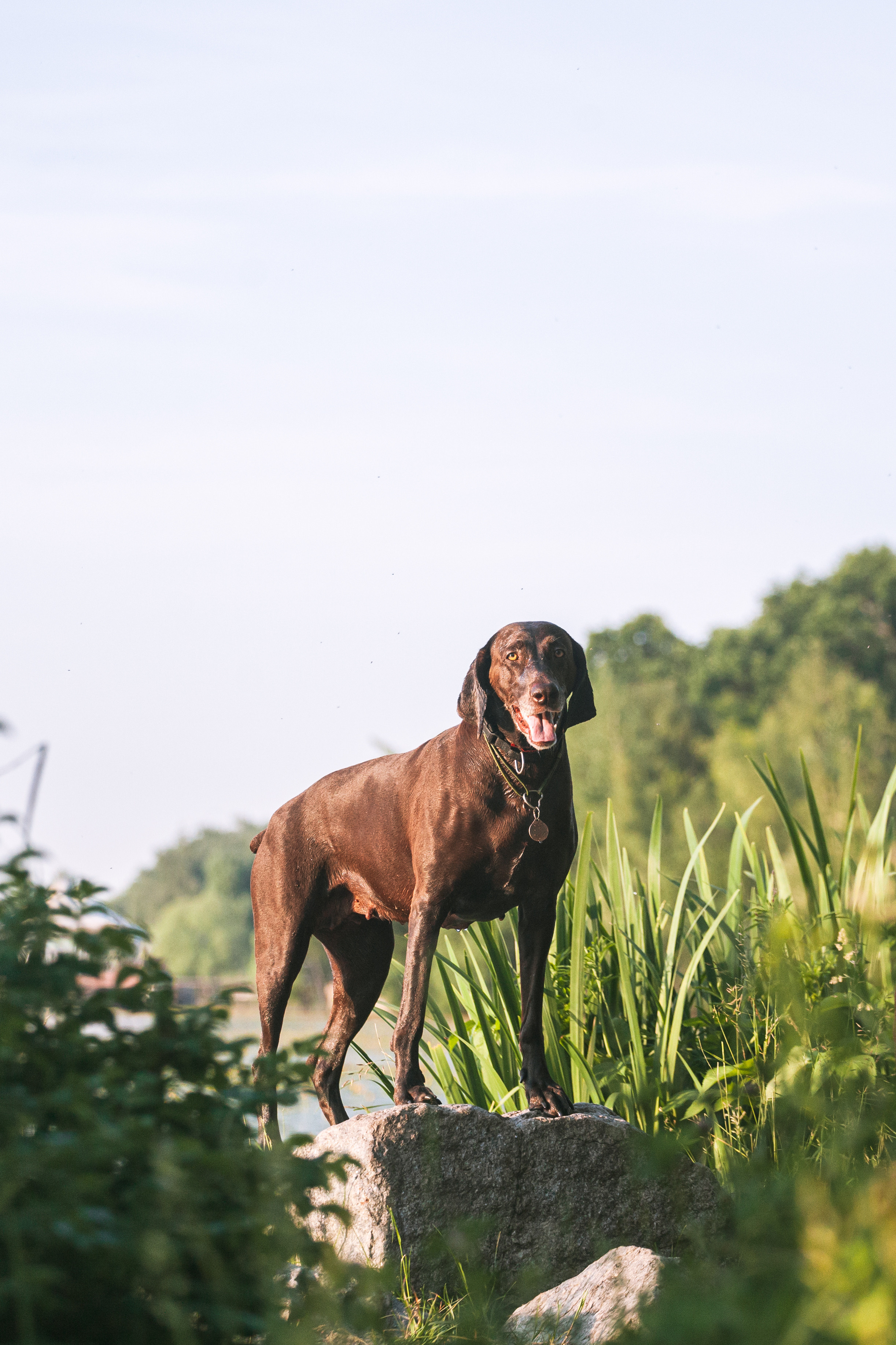 Рассветная съемка в ПКИО Северное Тушино. Фотограф-анималист Татьяна Степанова
