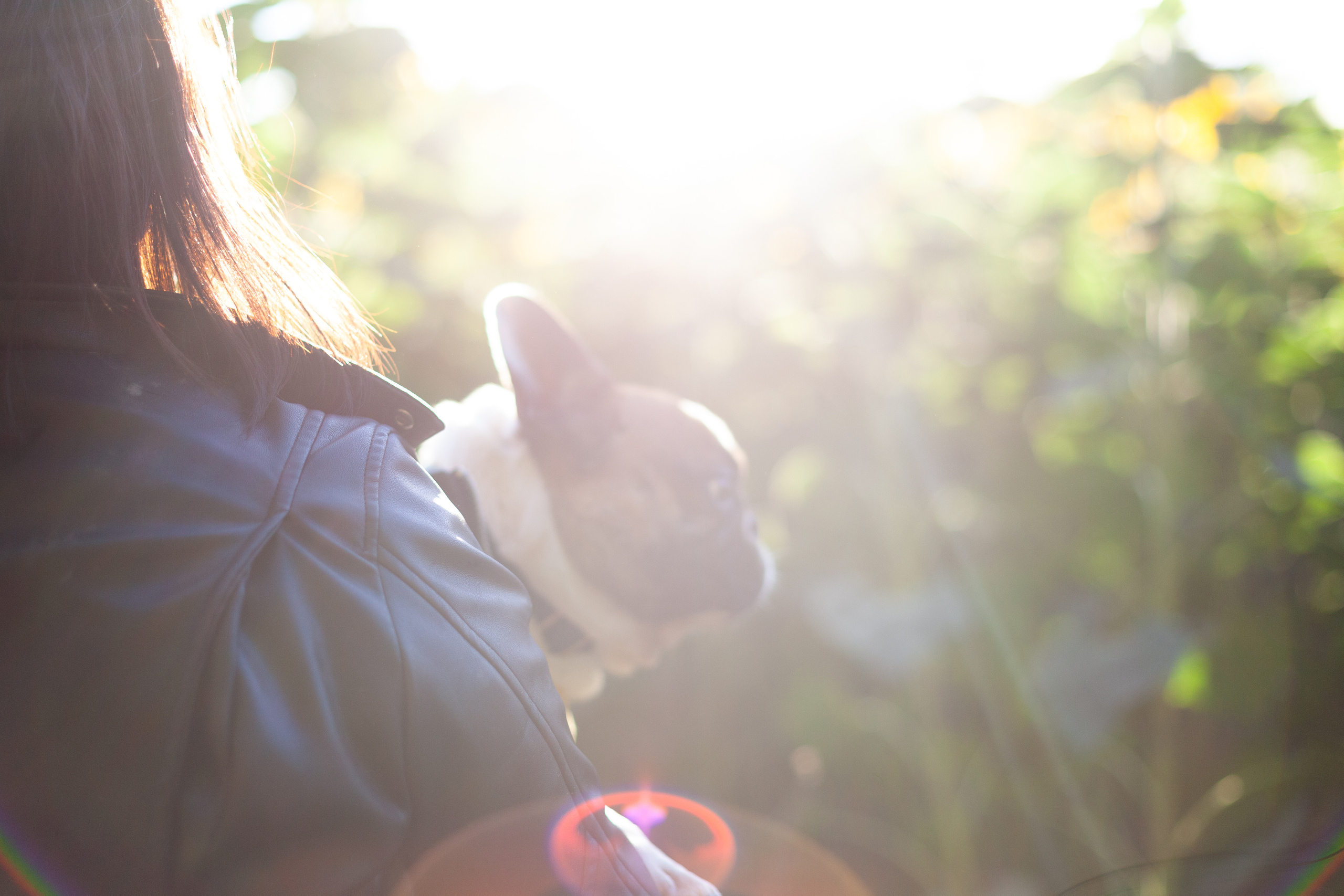 Коломна, стога и подсолнухи. Фотограф-анималист Татьяна Степанова