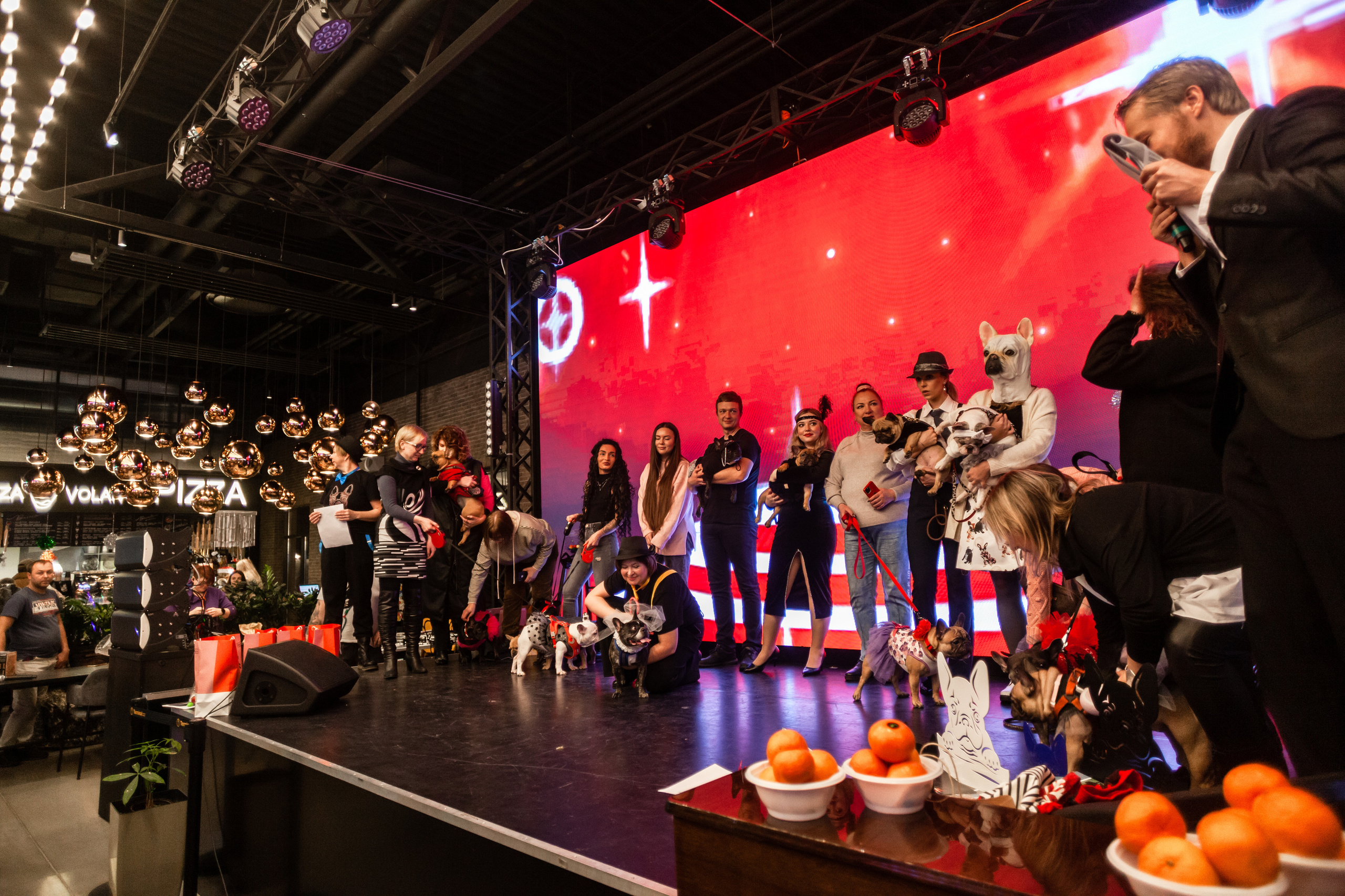 Бульелка 2022. Фотограф-анималист Татьяна Степанова