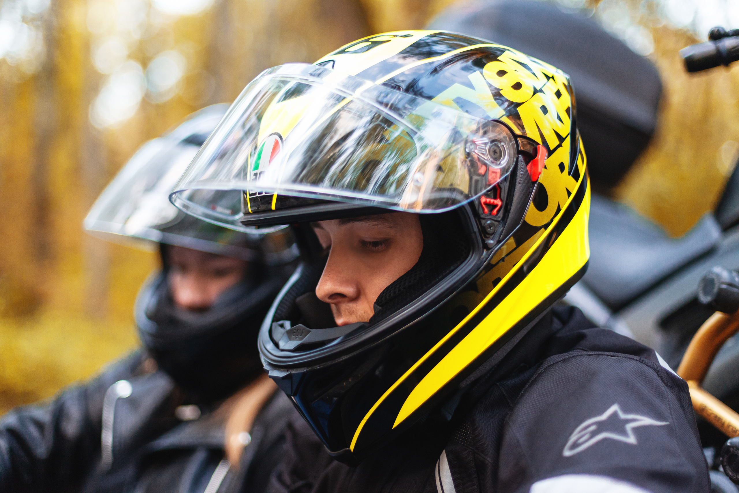 Кристина и Олег в Алешкинском лесопарке. Фотограф-анималист Татьяна Степанова