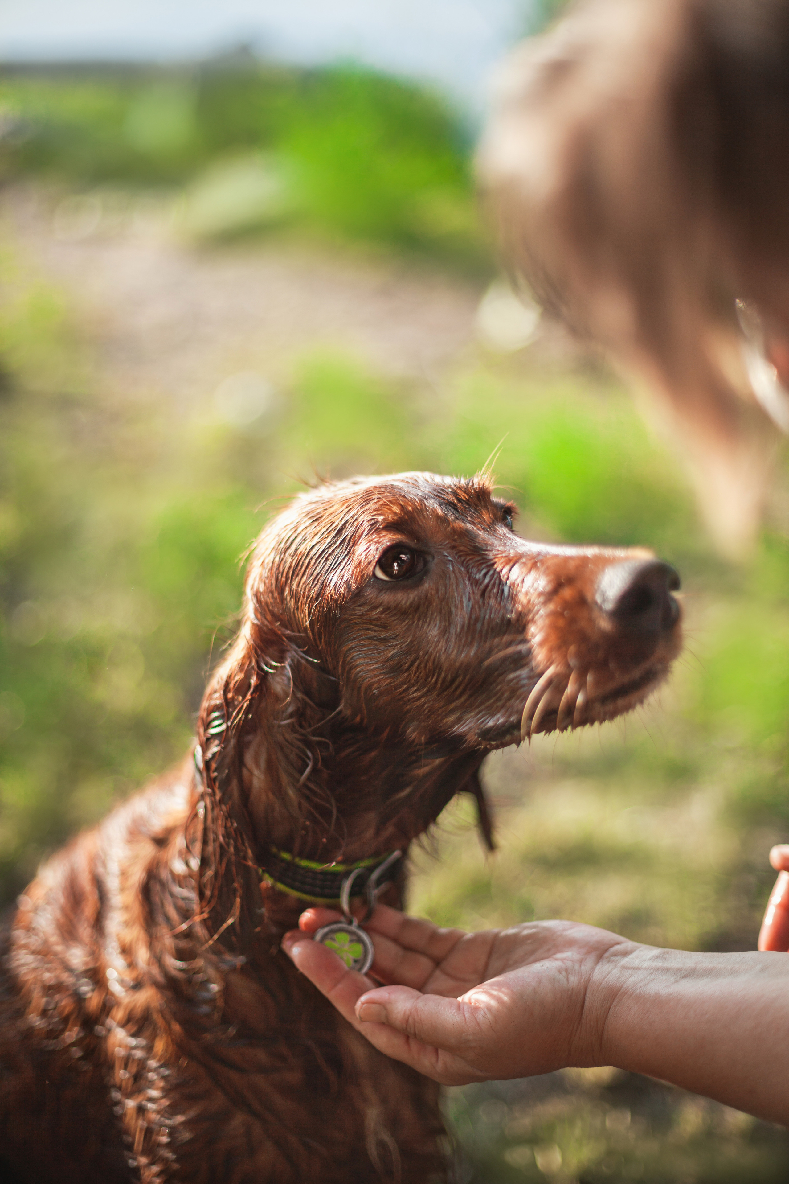 Рассветная съемка в ПКИО Северное Тушино. Фотограф-анималист Татьяна Степанова