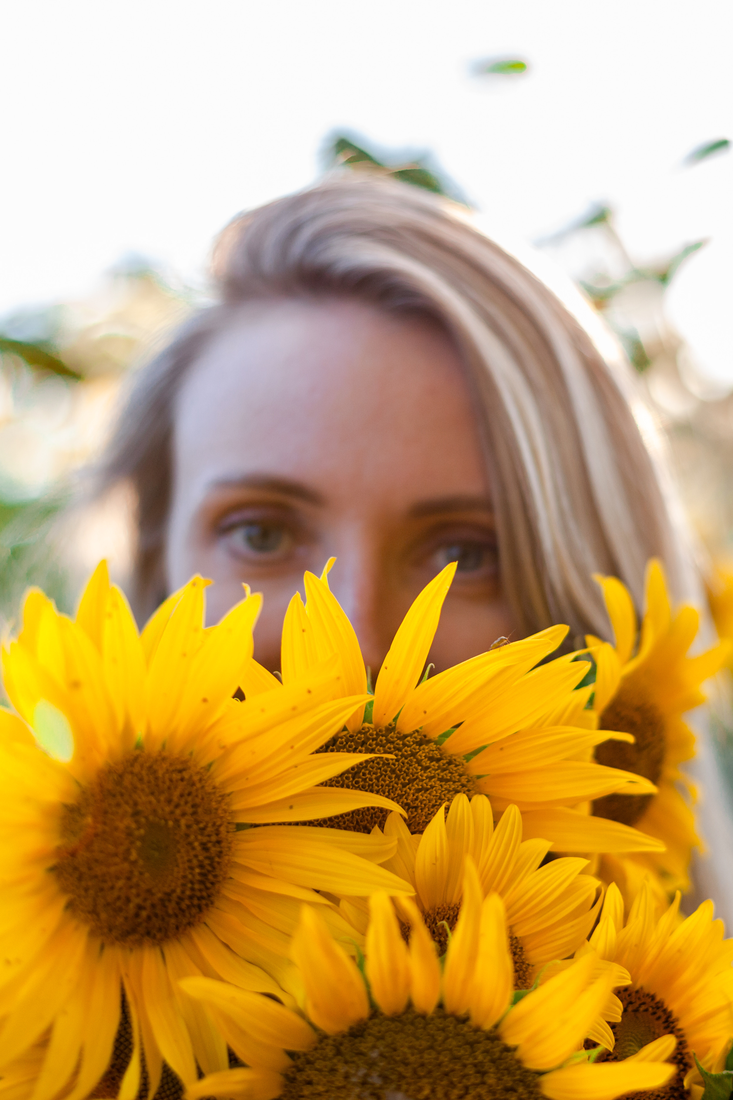 Коломна, стога и подсолнухи. Фотограф-анималист Татьяна Степанова