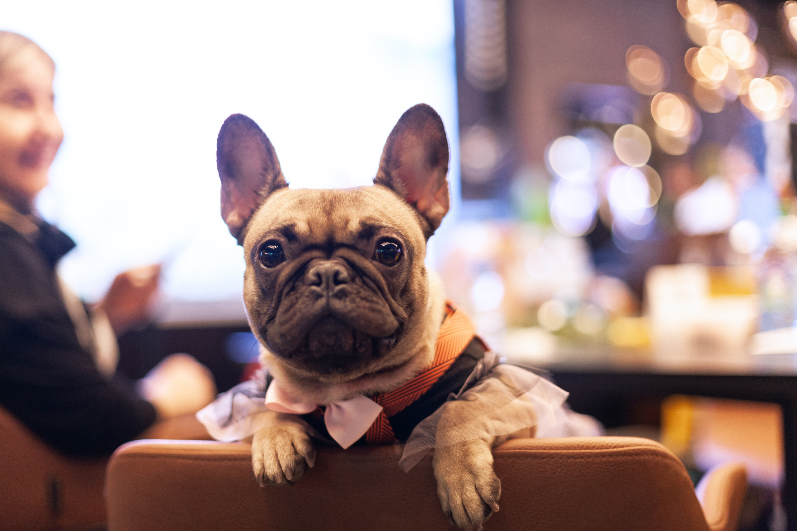 Бульелка 2022. Фотограф-анималист Татьяна Степанова