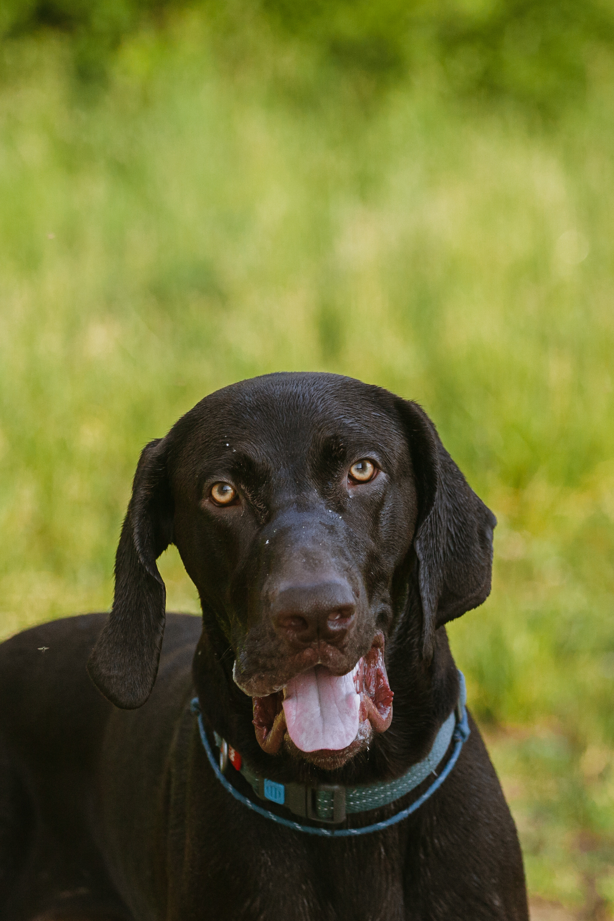 Рассветная съемка в ПКИО Северное Тушино. Фотограф-анималист Татьяна Степанова