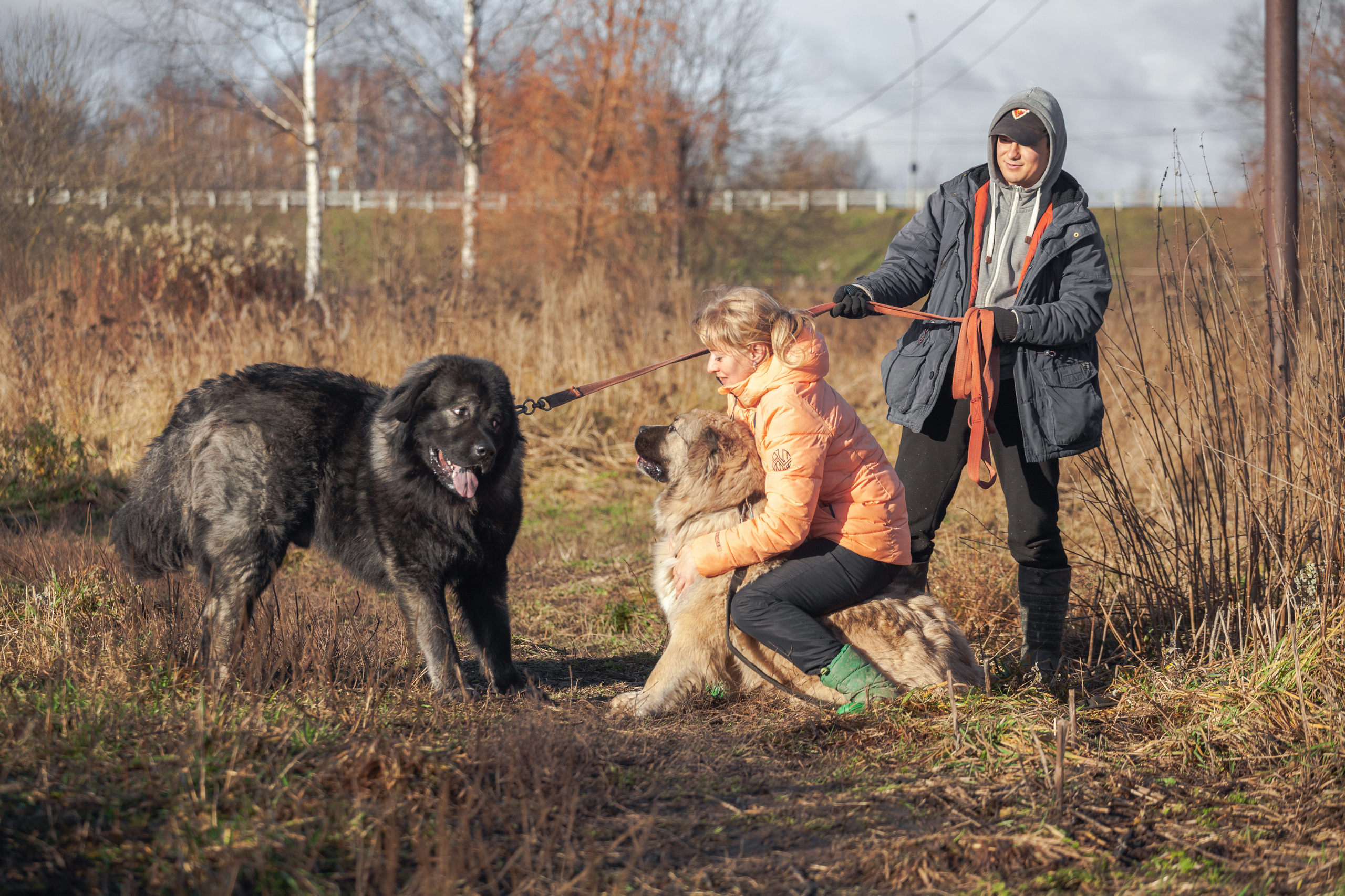 Фонд помощи кавказским овчаркам (Дудусик дог) 2022. Фотограф-анималист Татьяна Степанова