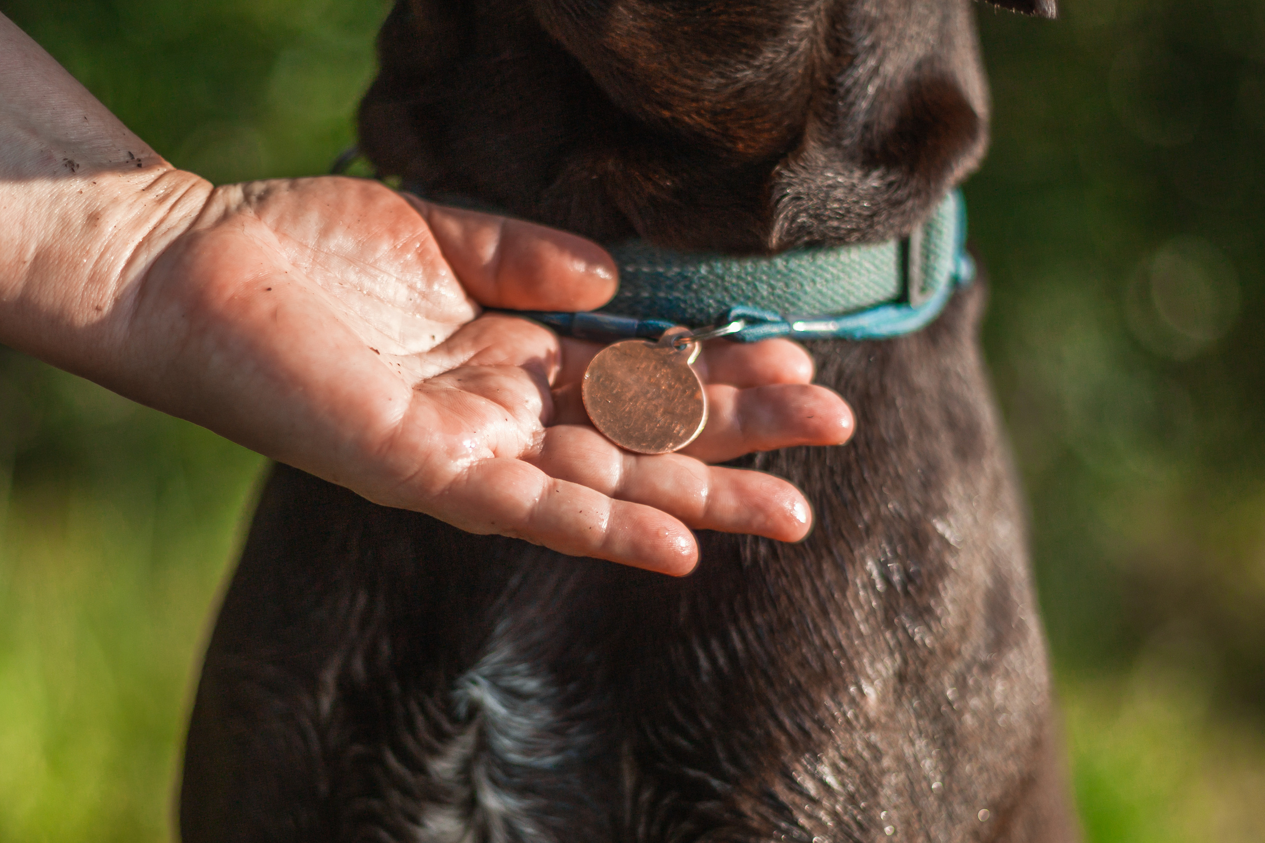 Рассветная съемка в ПКИО Северное Тушино. Фотограф-анималист Татьяна Степанова