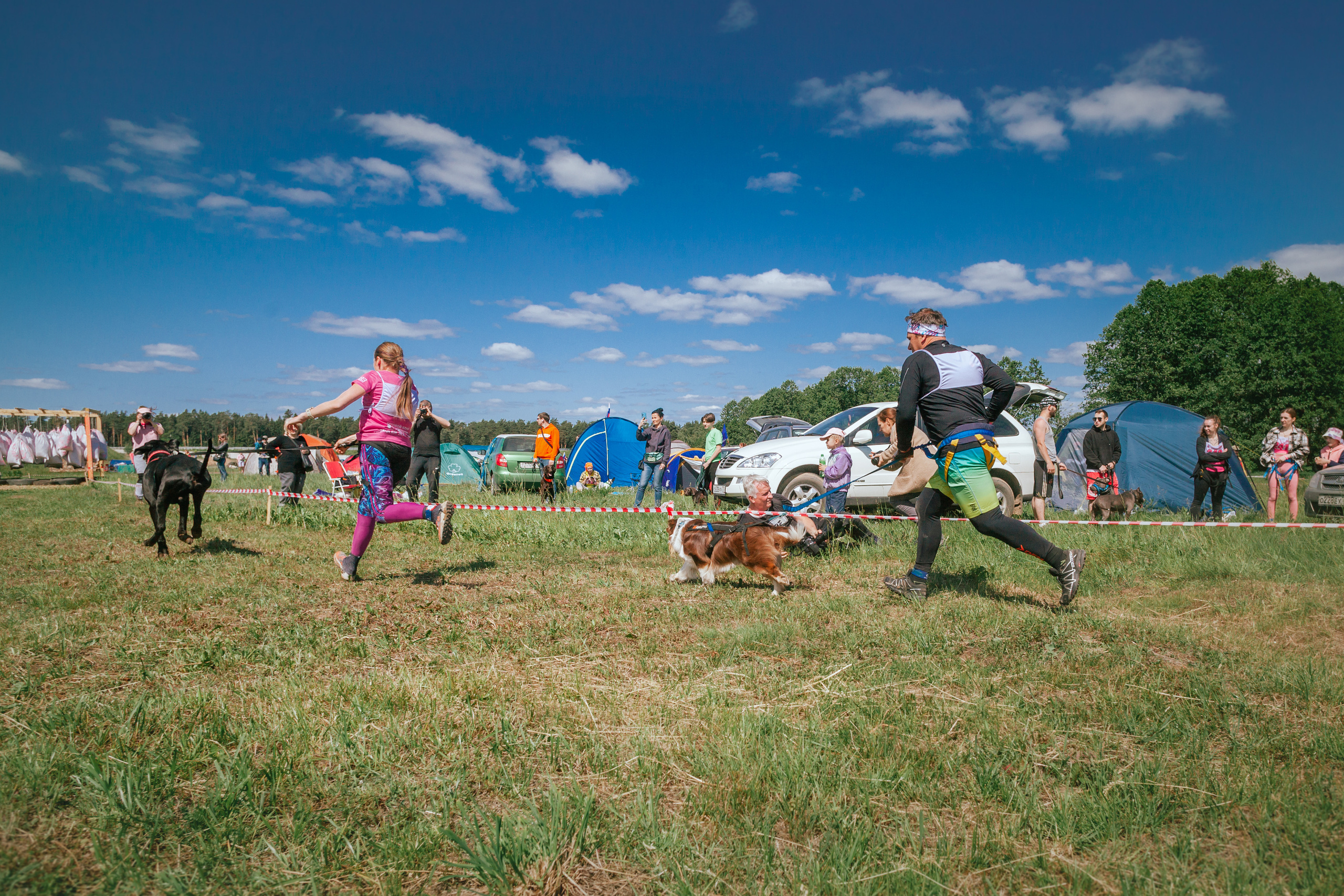 Хвостатый Драйв 11.06.2023. Фотограф-анималист Татьяна Степанова