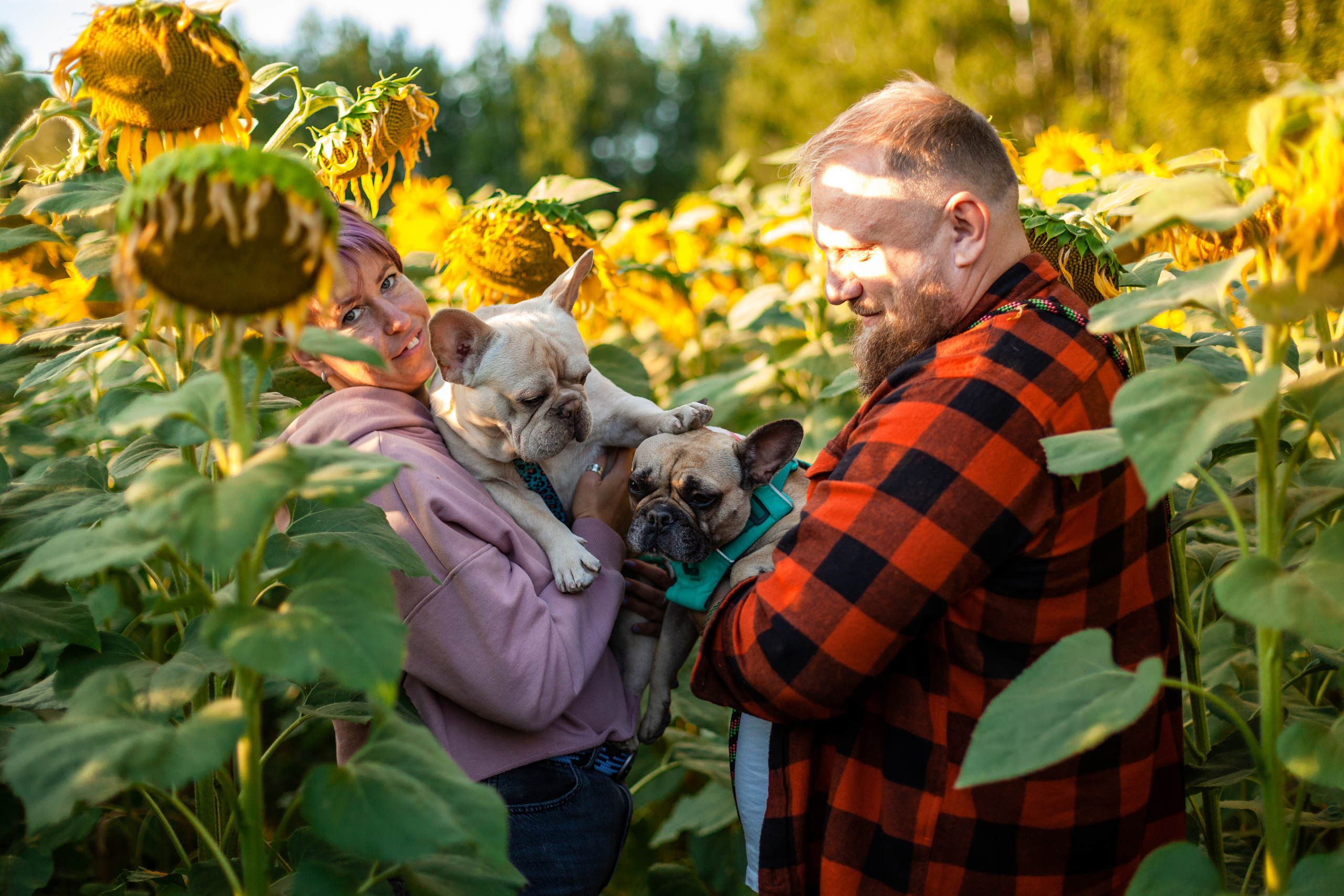 Коломна, стога и подсолнухи. Фотограф-анималист Татьяна Степанова