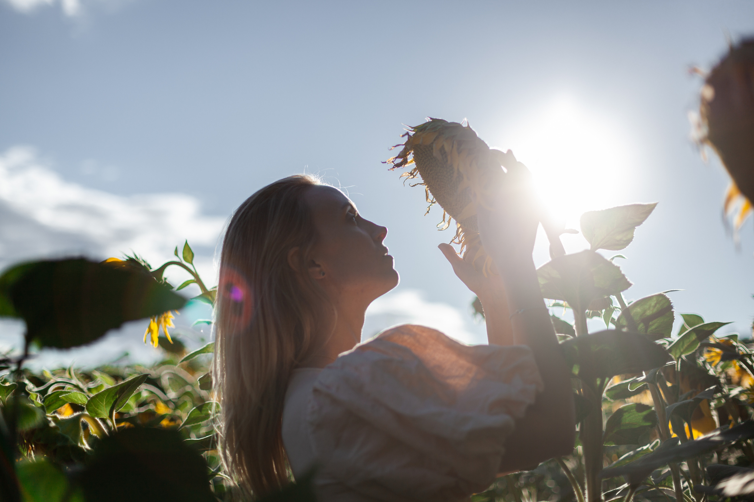 Коломна, стога и подсолнухи. Фотограф-анималист Татьяна Степанова