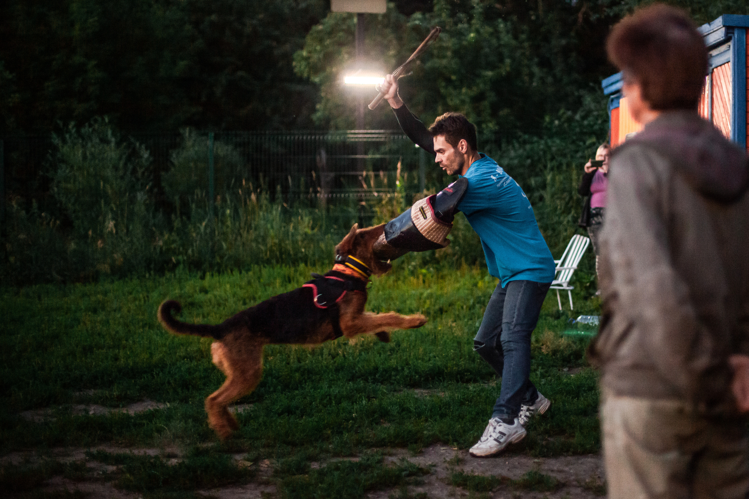 Занятие ЗКС+Выборка 2022. Фотограф-анималист Татьяна Степанова