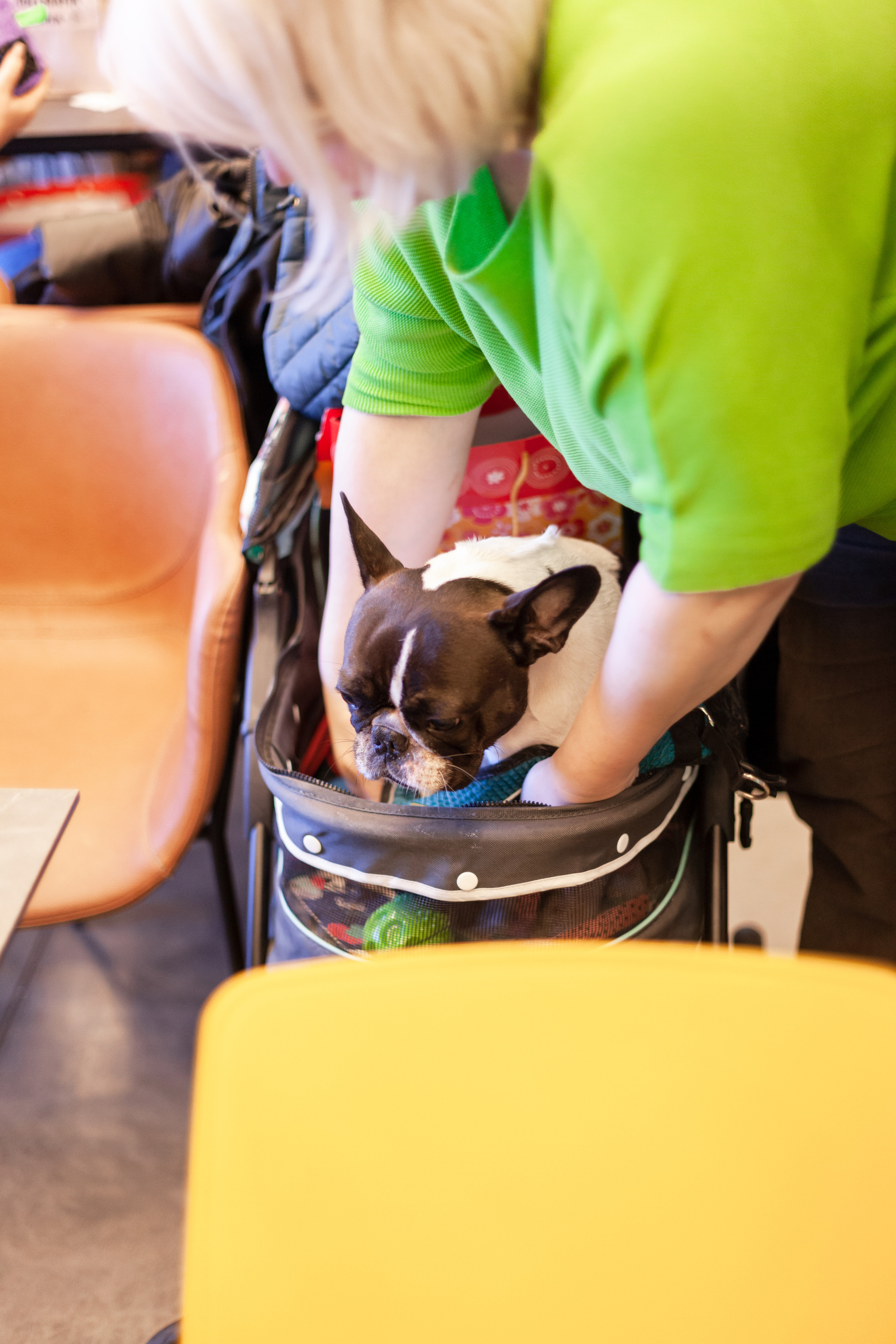 Бульелка 2022. Фотограф-анималист Татьяна Степанова