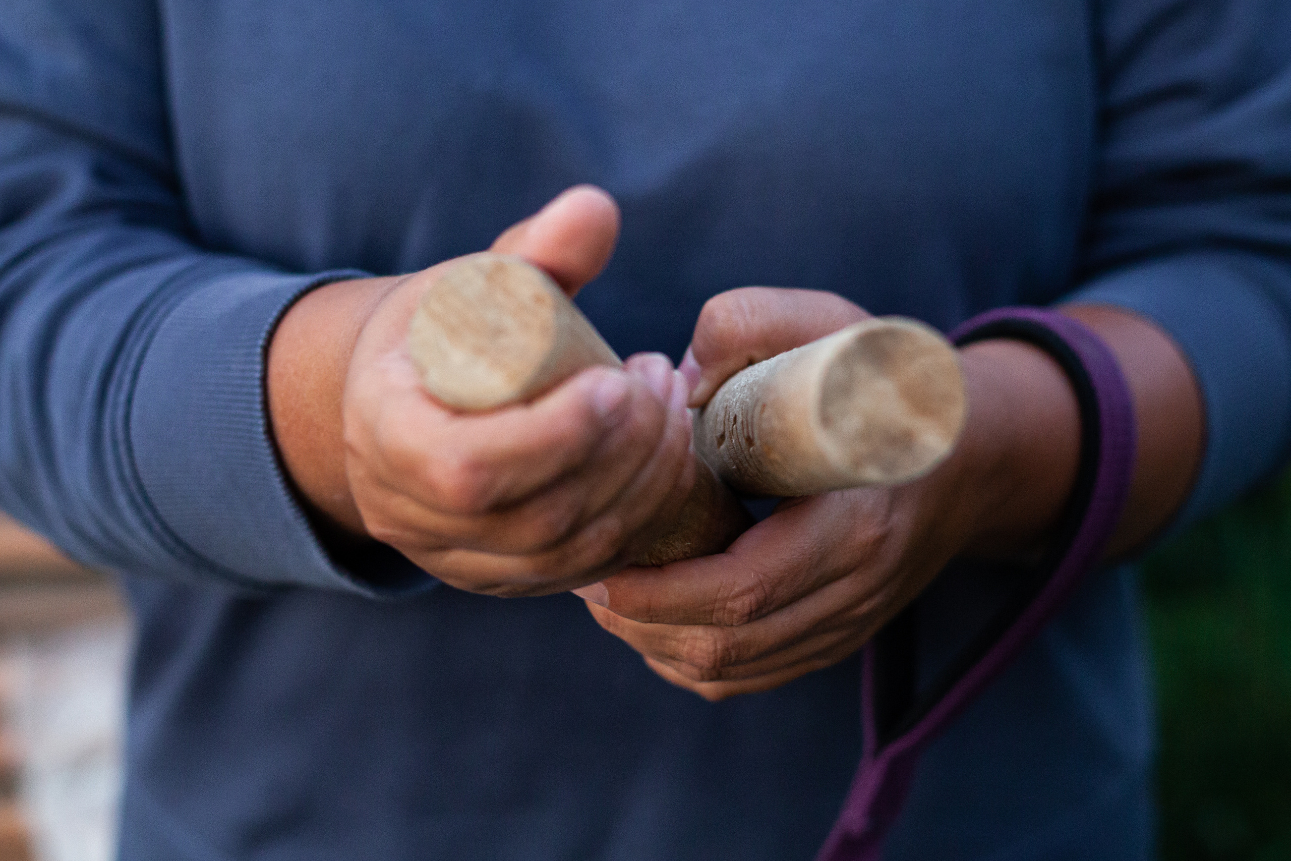 Занятие ЗКС+Выборка 2022. Фотограф-анималист Татьяна Степанова