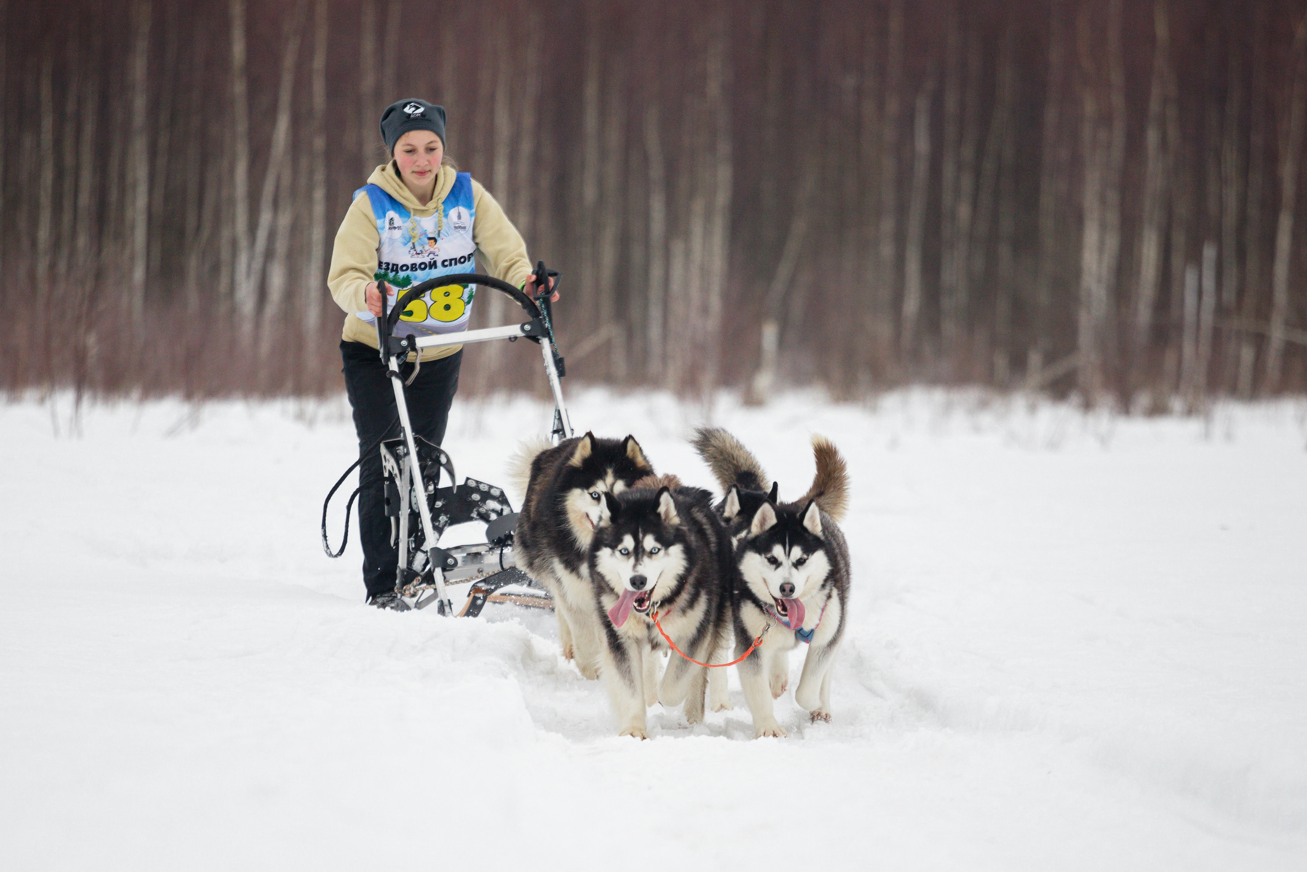 Холодные игры 28 февраля 2022. Фотограф-анималист Татьяна Степанова