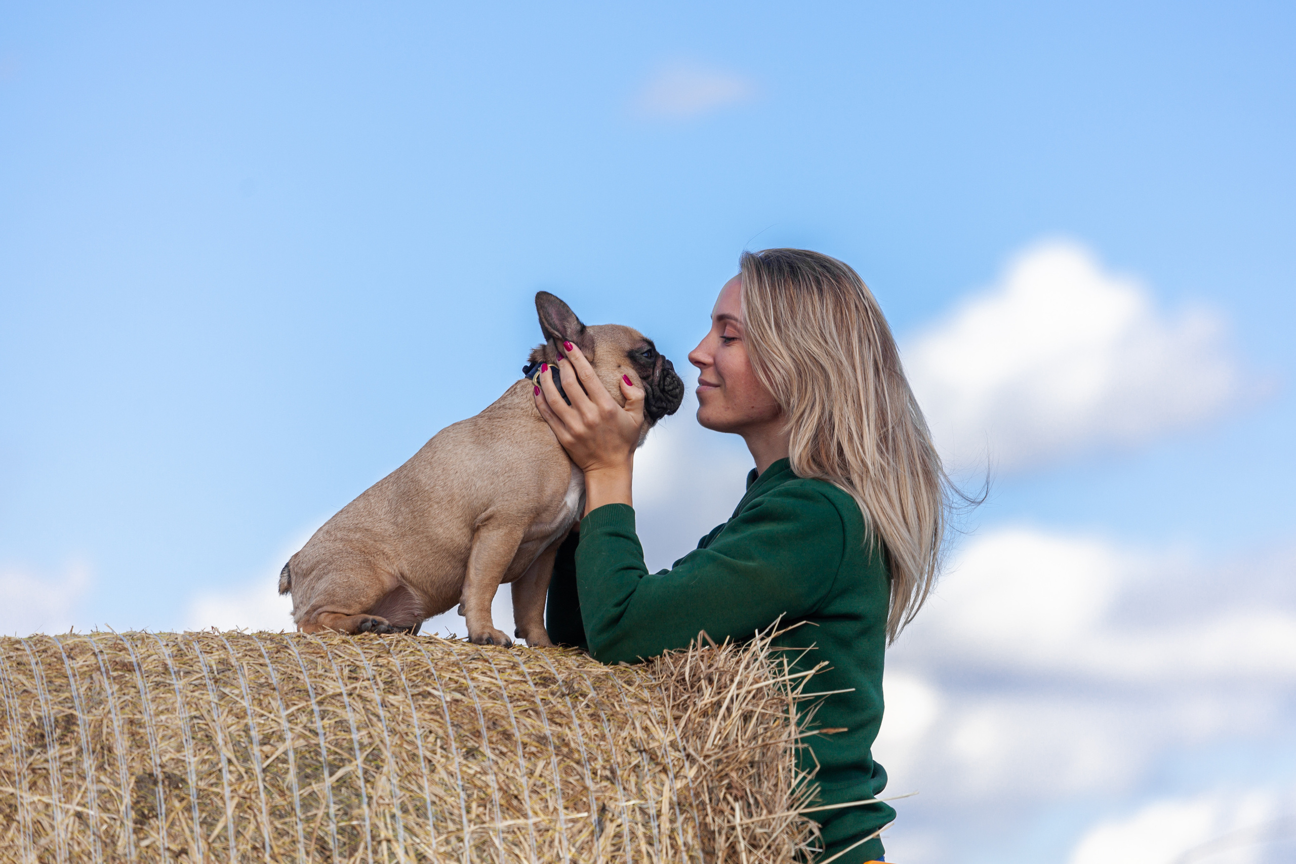 Коломна, стога и подсолнухи. Фотограф-анималист Татьяна Степанова