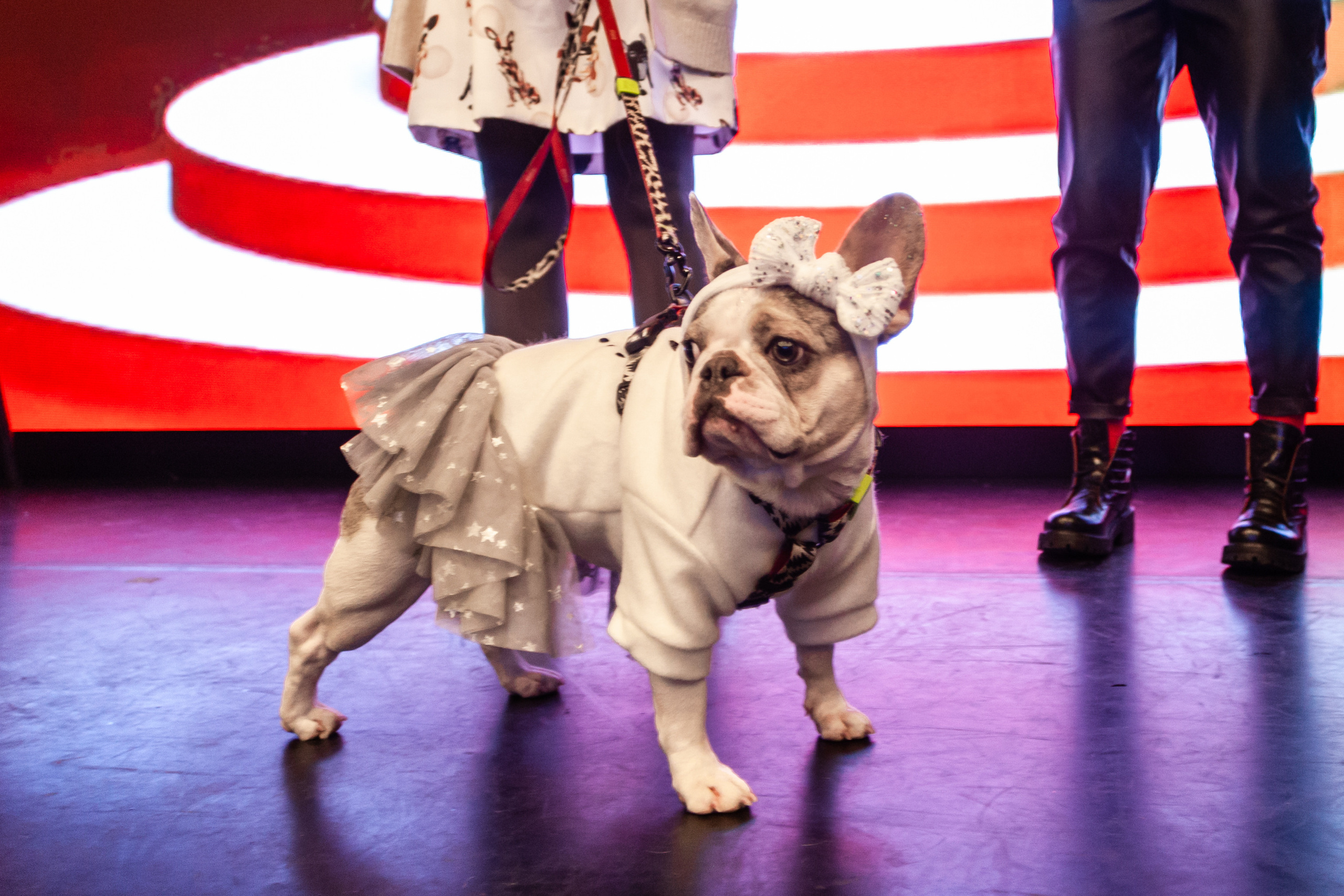 Бульелка 2022. Фотограф-анималист Татьяна Степанова