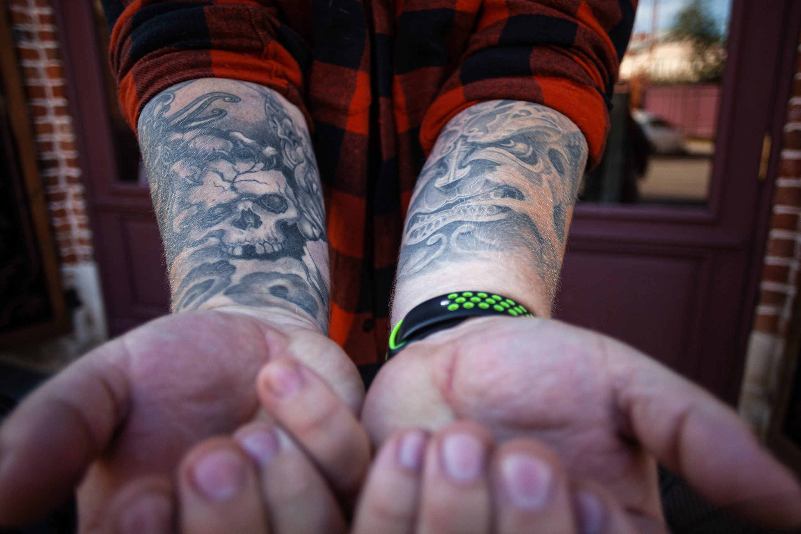 Коломна, стога и подсолнухи. Фотограф-анималист Татьяна Степанова