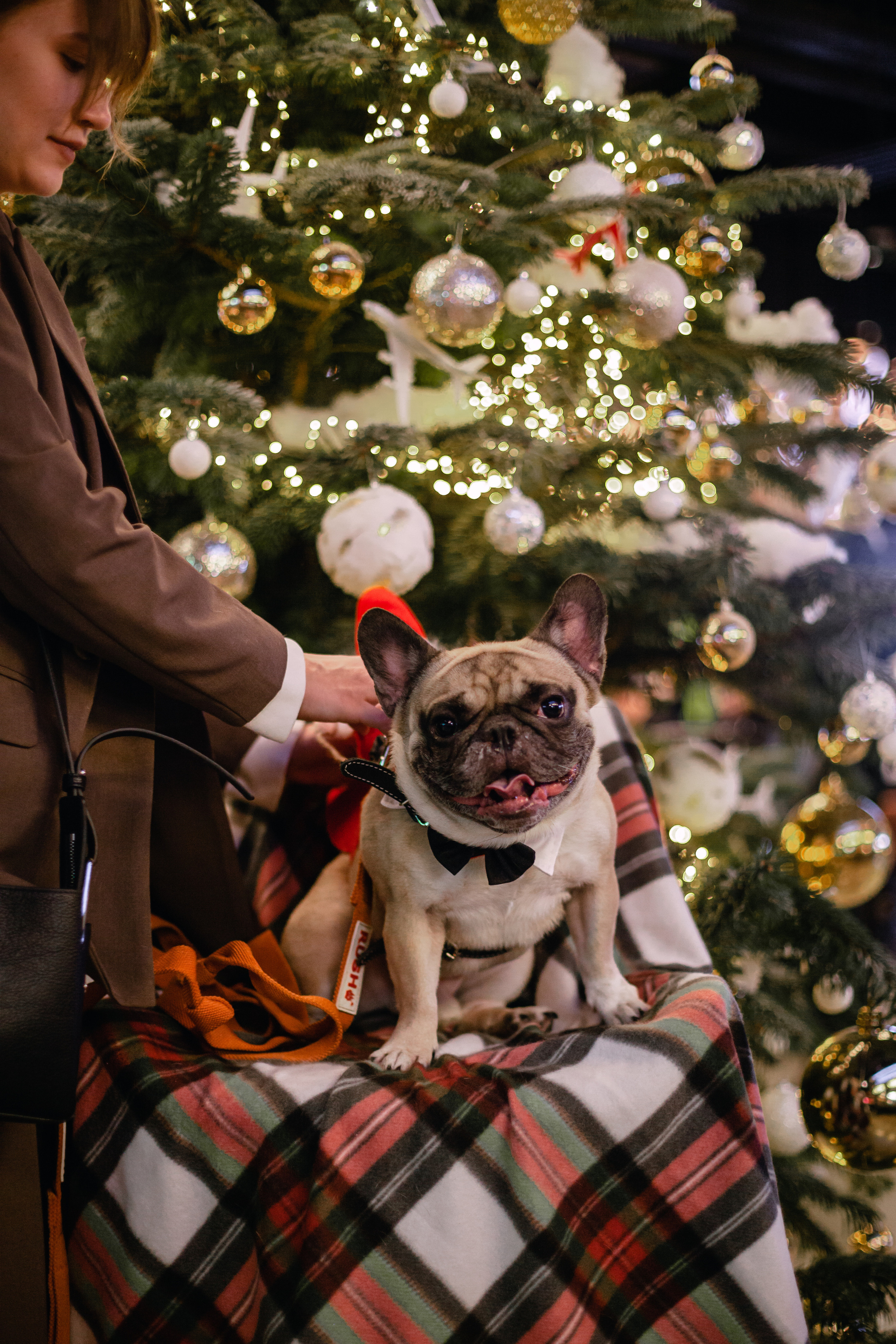 Бульелка 2022. Фотограф-анималист Татьяна Степанова