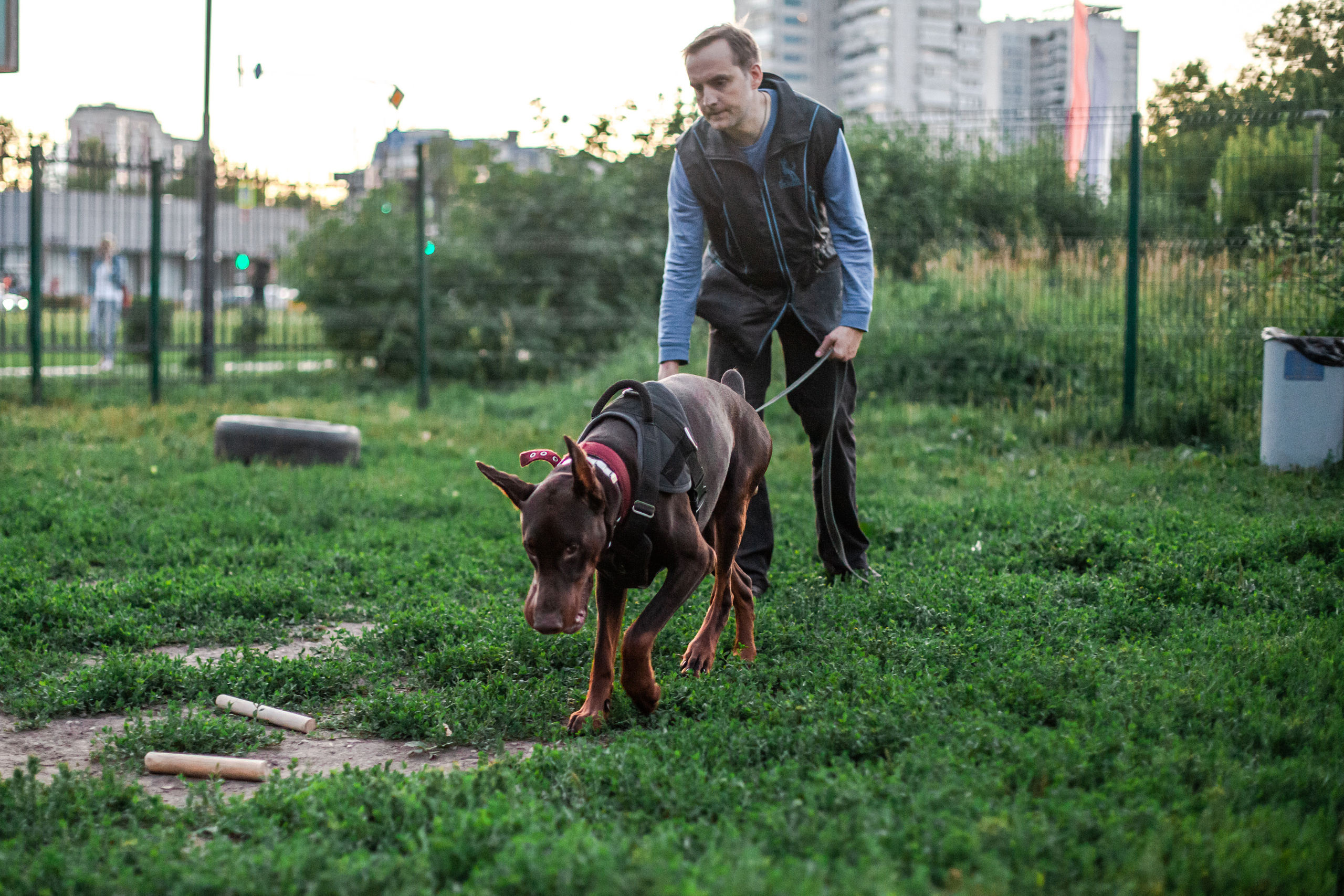 Занятие ЗКС+Выборка 2022. Фотограф-анималист Татьяна Степанова