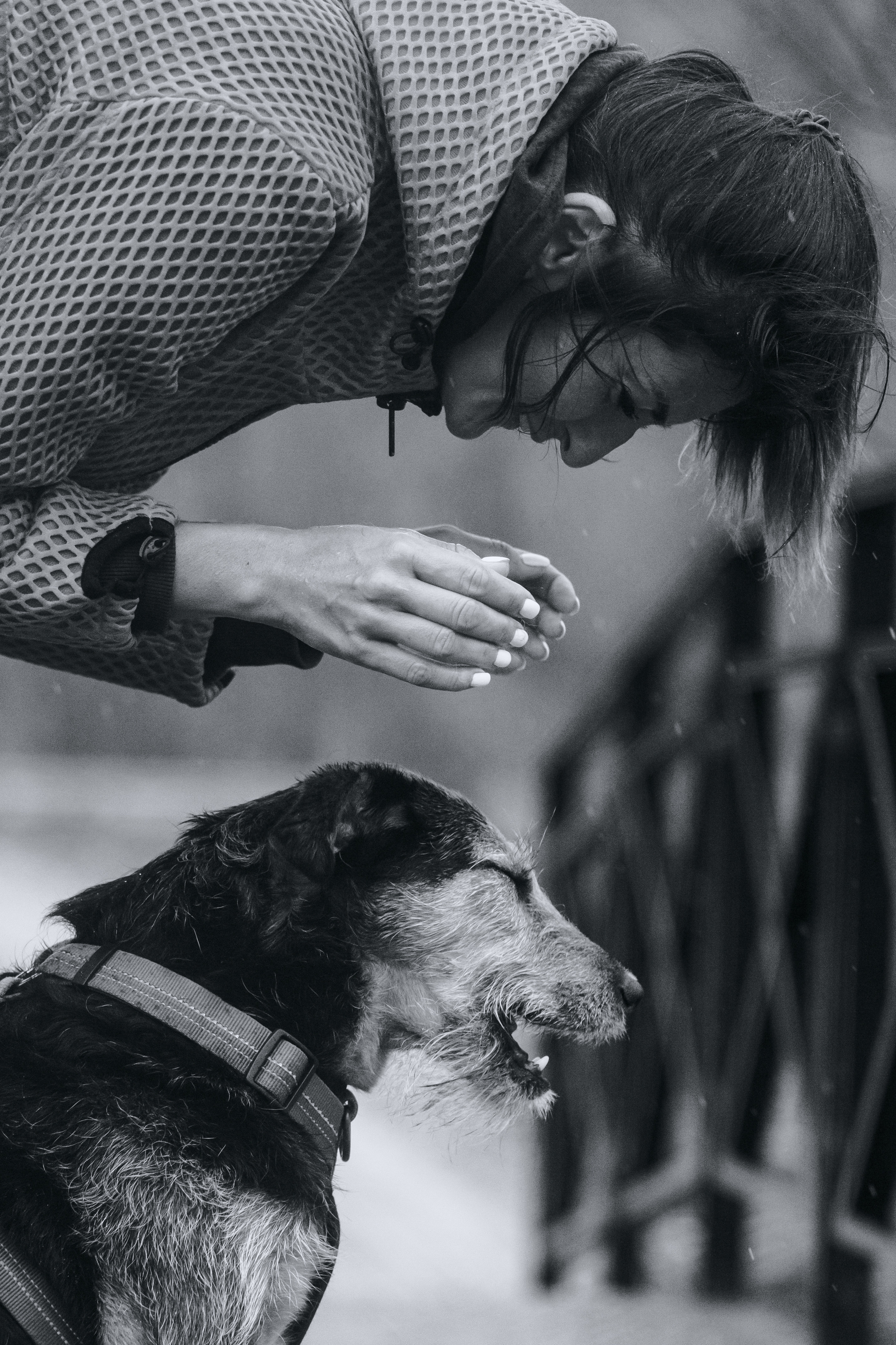 Лиза и Бренда. Фотограф-анималист Татьяна Степанова