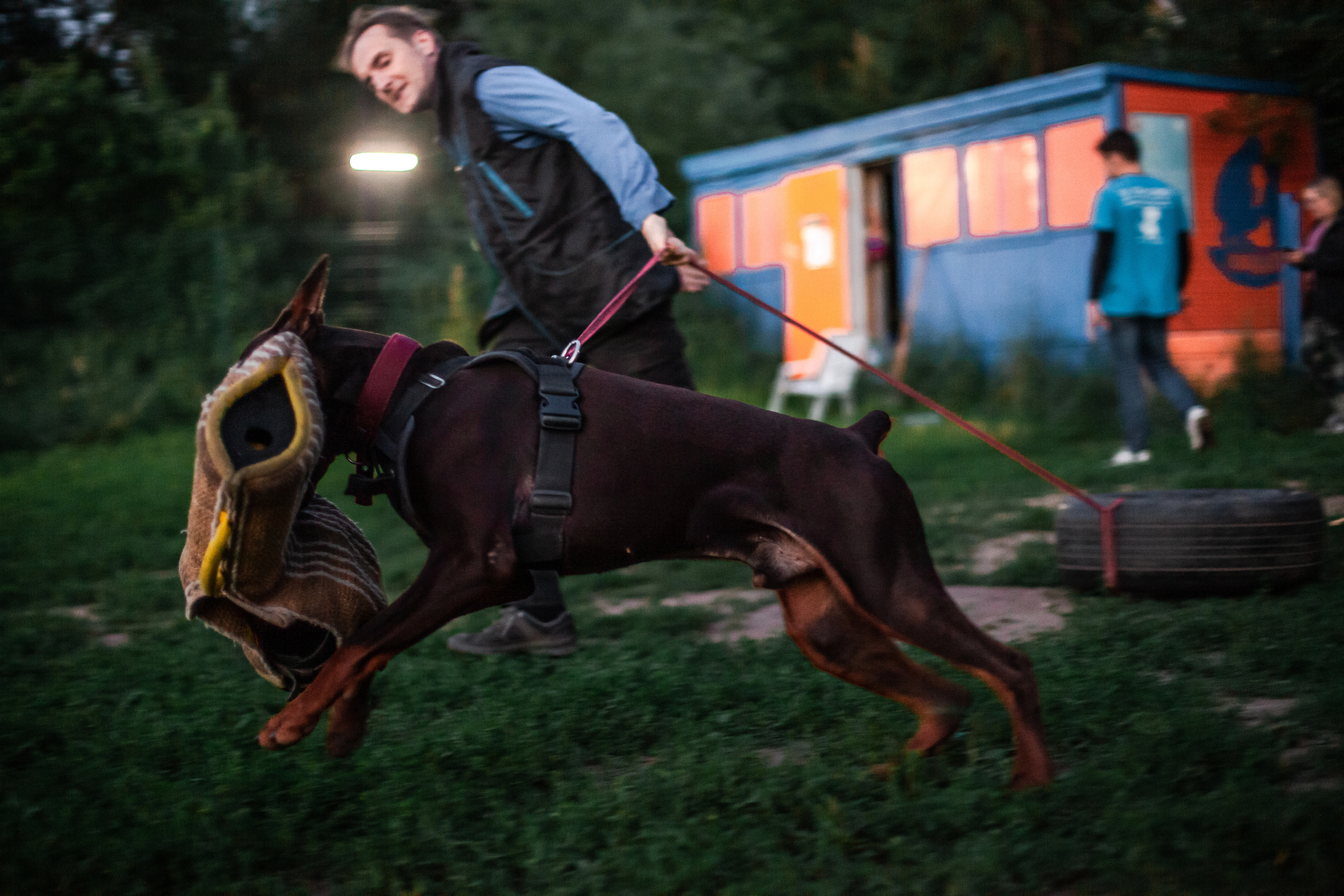 Занятие ЗКС+Выборка 2022. Фотограф-анималист Татьяна Степанова