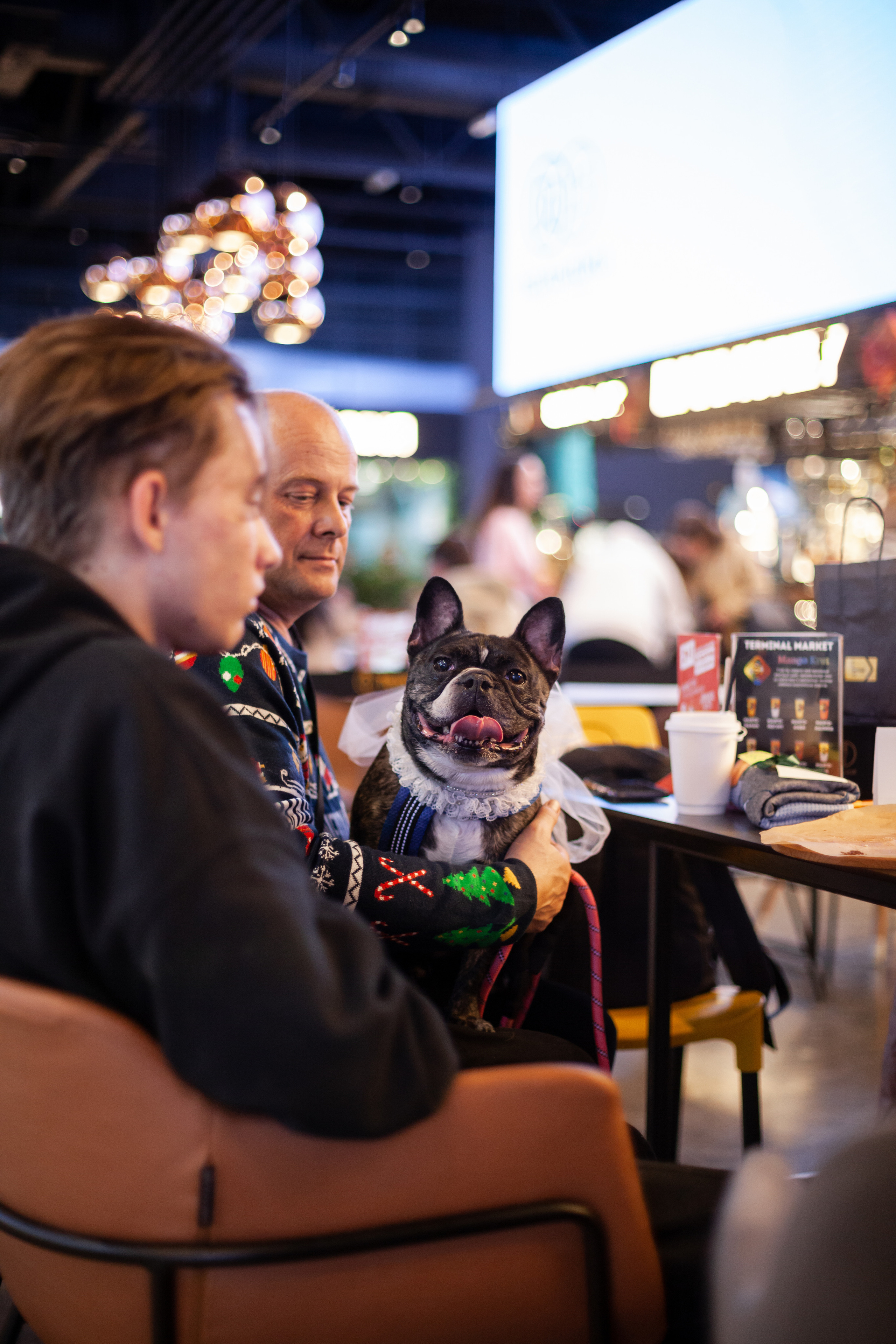 Бульелка 2022. Фотограф-анималист Татьяна Степанова