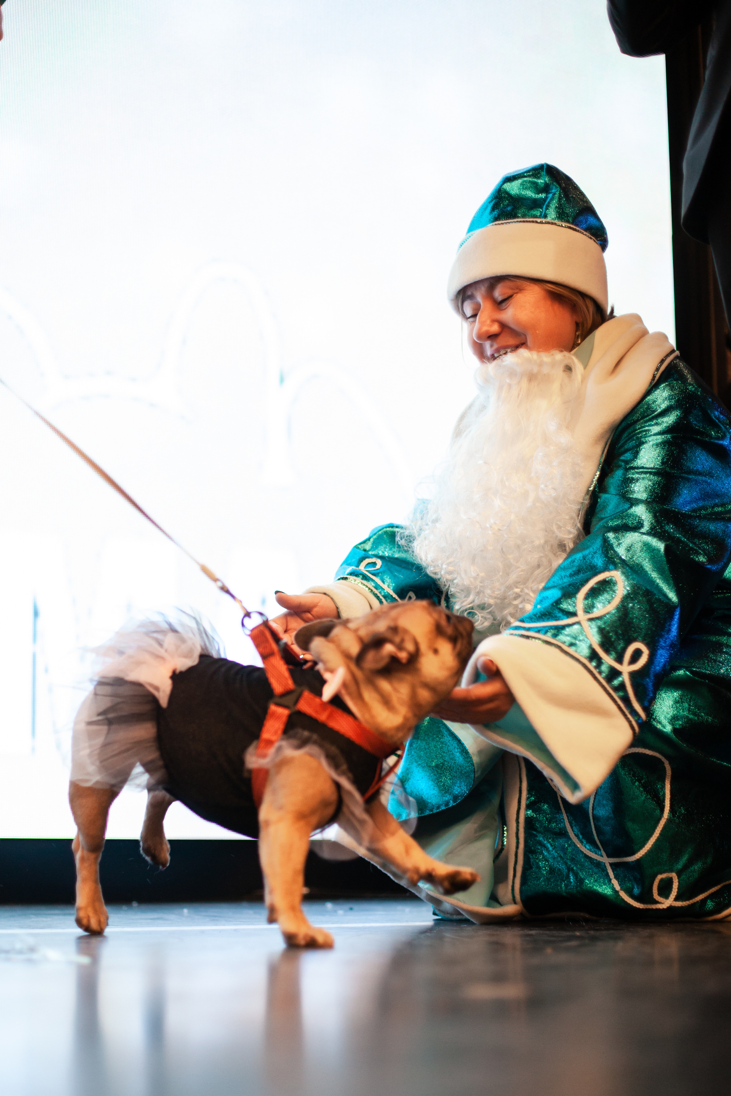 Бульелка 2022. Фотограф-анималист Татьяна Степанова