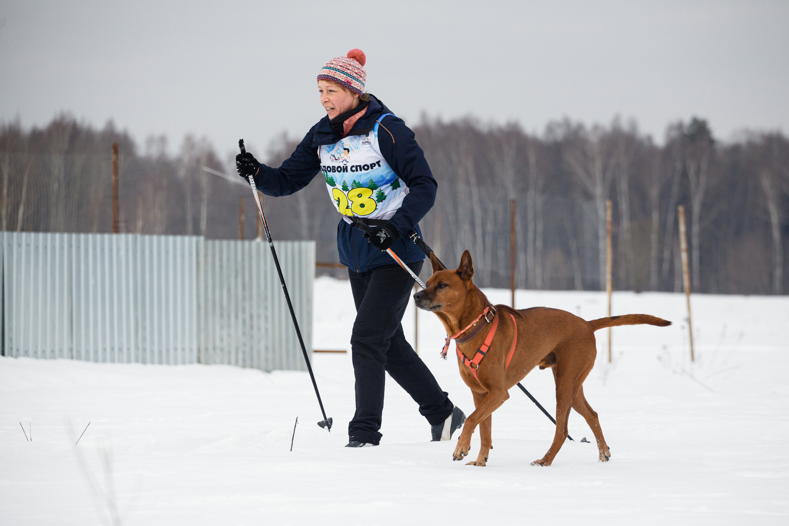 Холодные игры 28 февраля 2022. Фотограф-анималист Татьяна Степанова