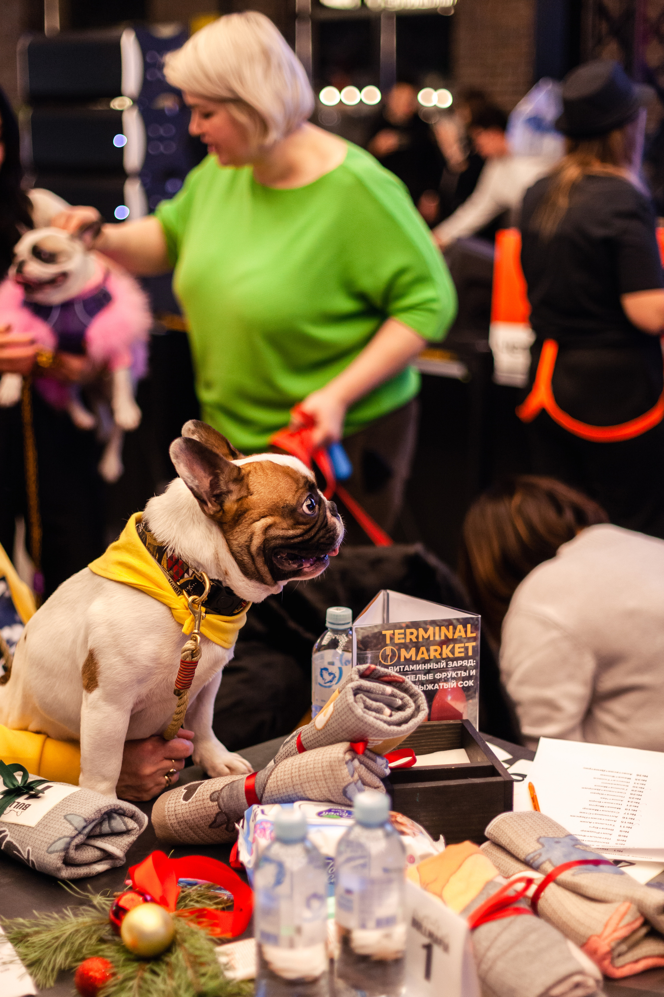 Бульелка 2022. Фотограф-анималист Татьяна Степанова