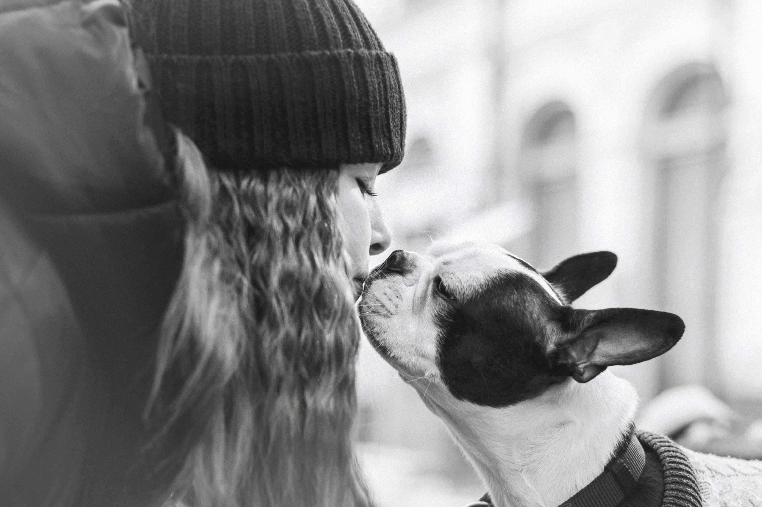 Василиса и Мира Кузнецкий мост. Фотограф-анималист Татьяна Степанова