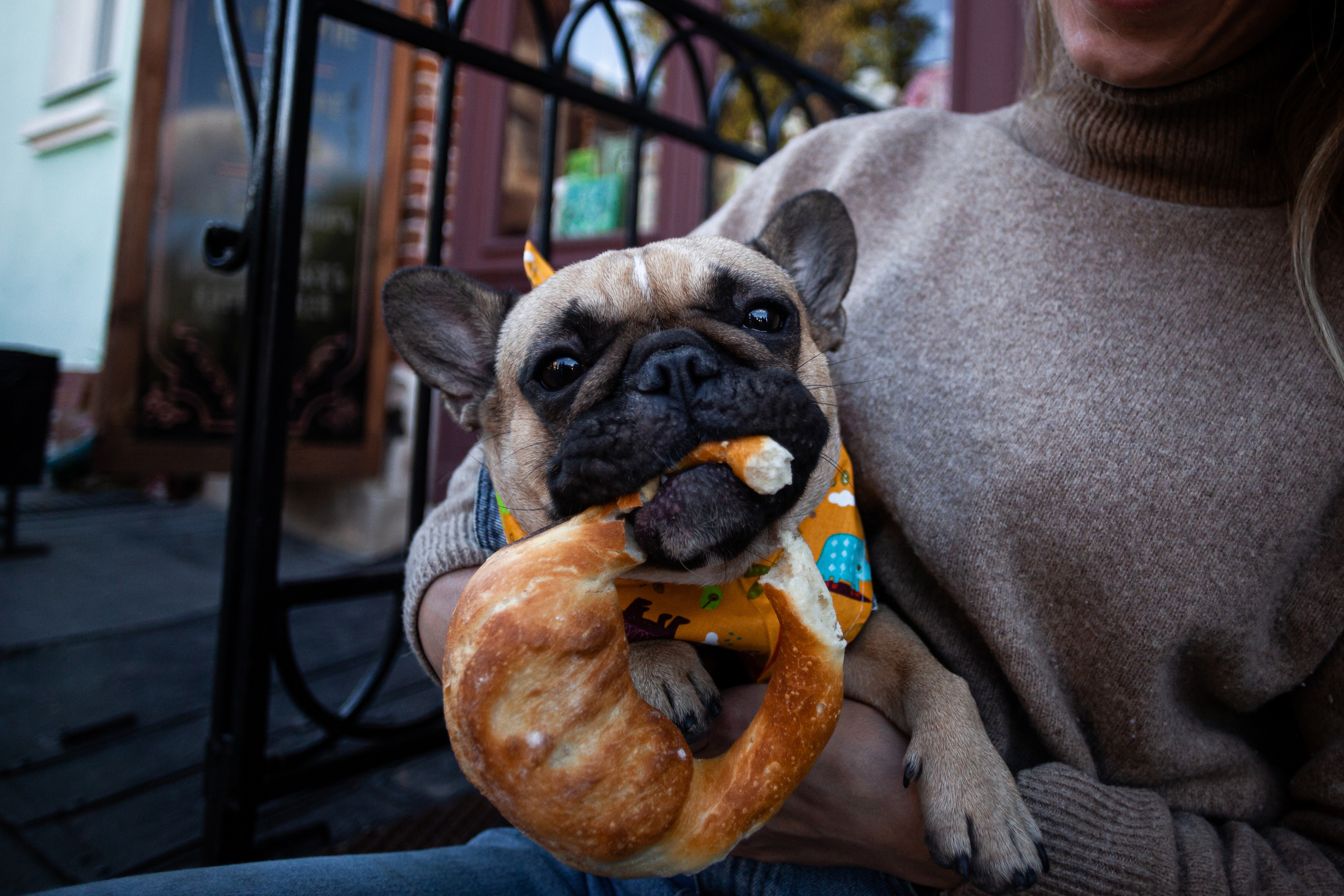 Коломна, стога и подсолнухи. Фотограф-анималист Татьяна Степанова