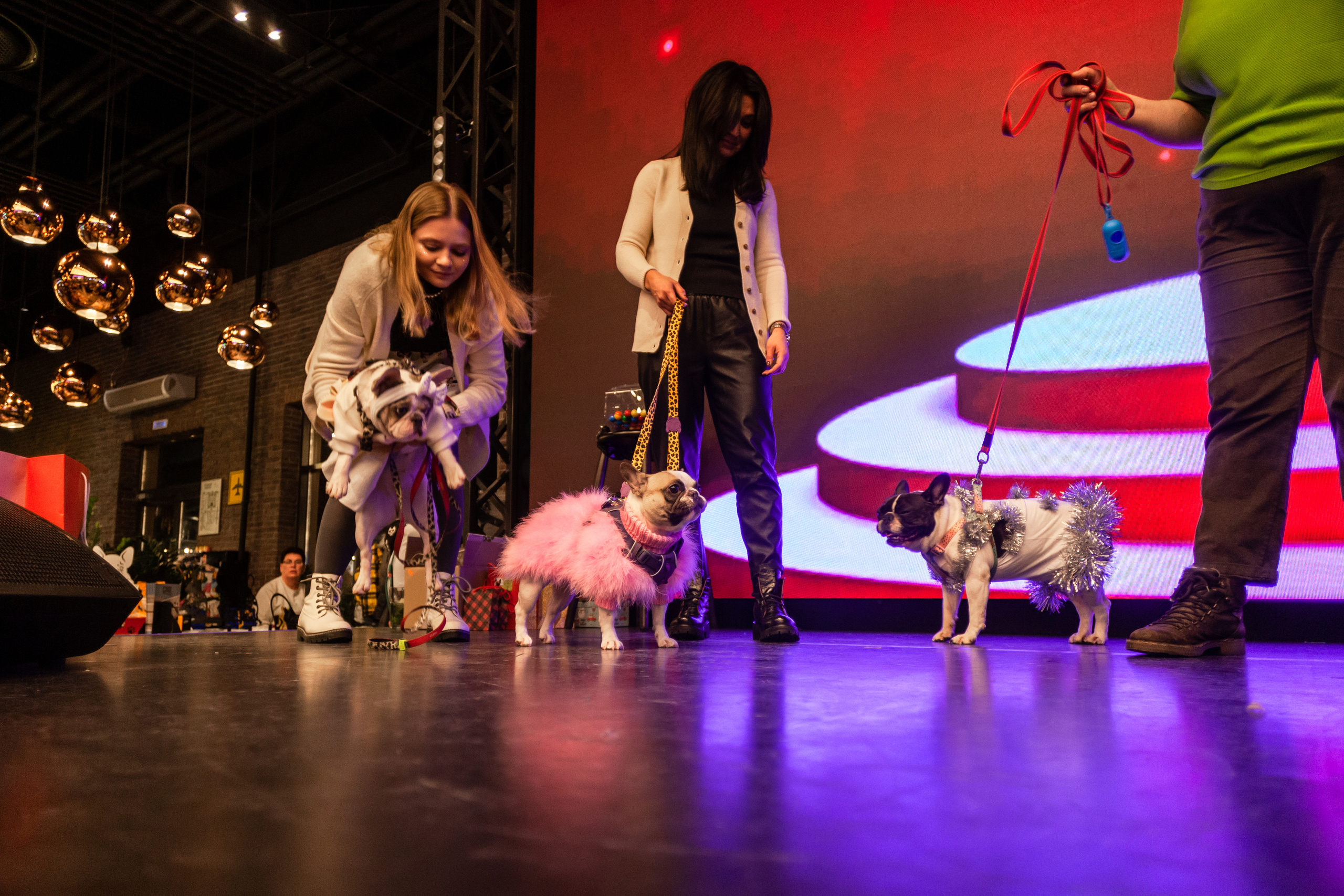 Бульелка 2022. Фотограф-анималист Татьяна Степанова