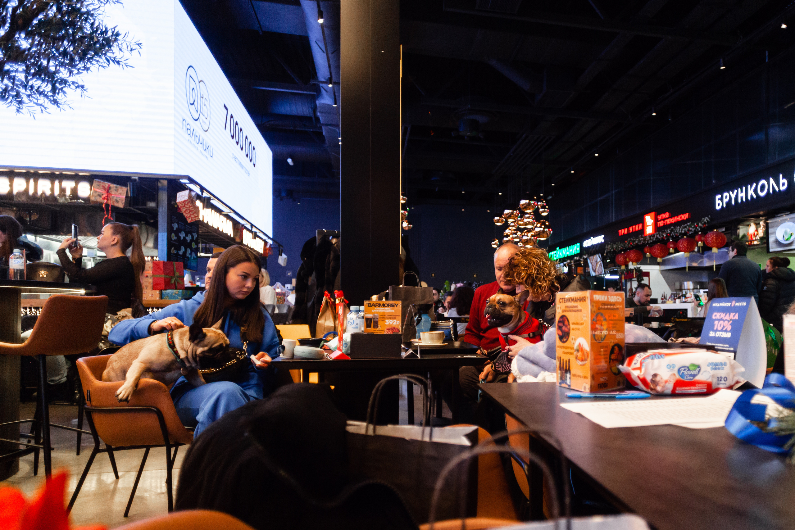 Бульелка 2022. Фотограф-анималист Татьяна Степанова