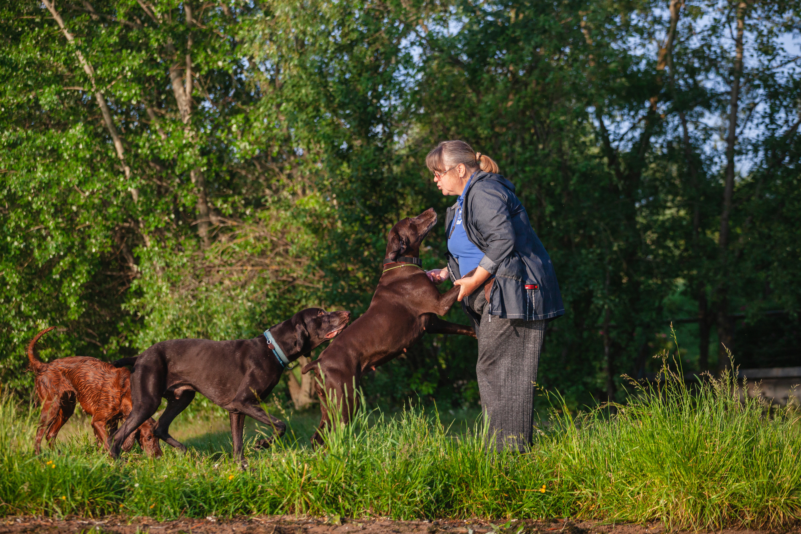 Рассветная съемка в ПКИО Северное Тушино. Фотограф-анималист Татьяна Степанова