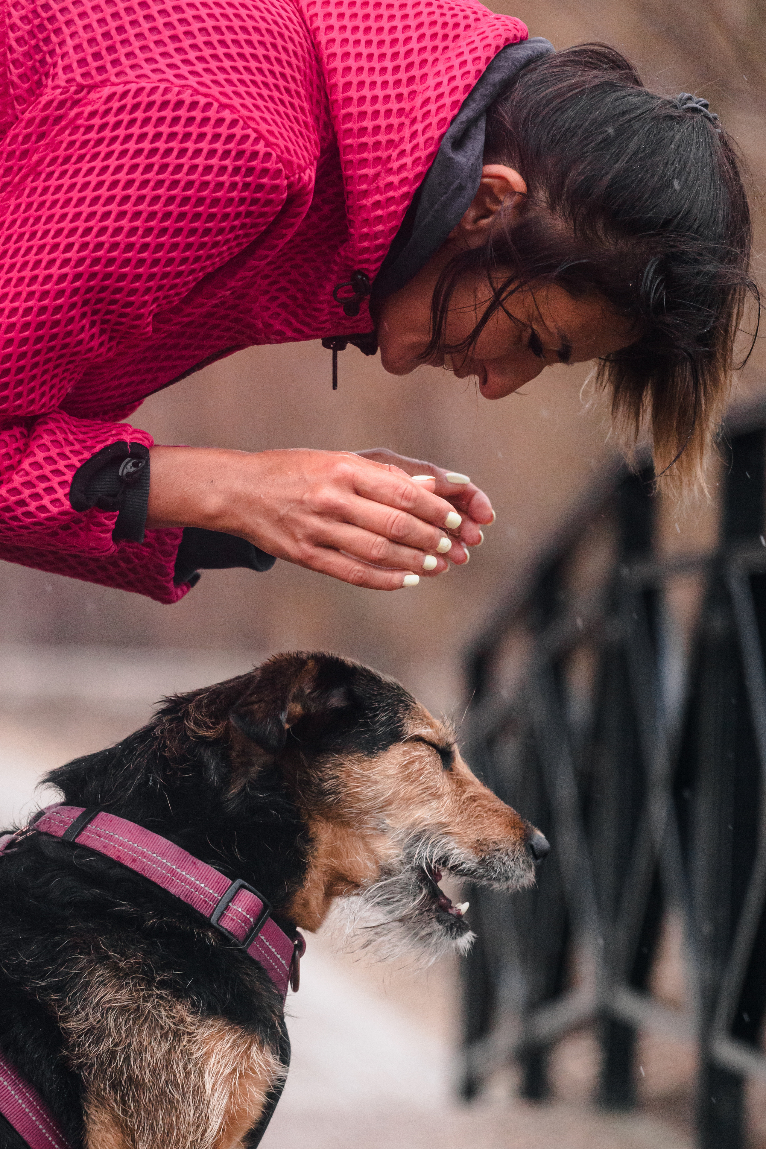 Лиза и Бренда. Фотограф-анималист Татьяна Степанова