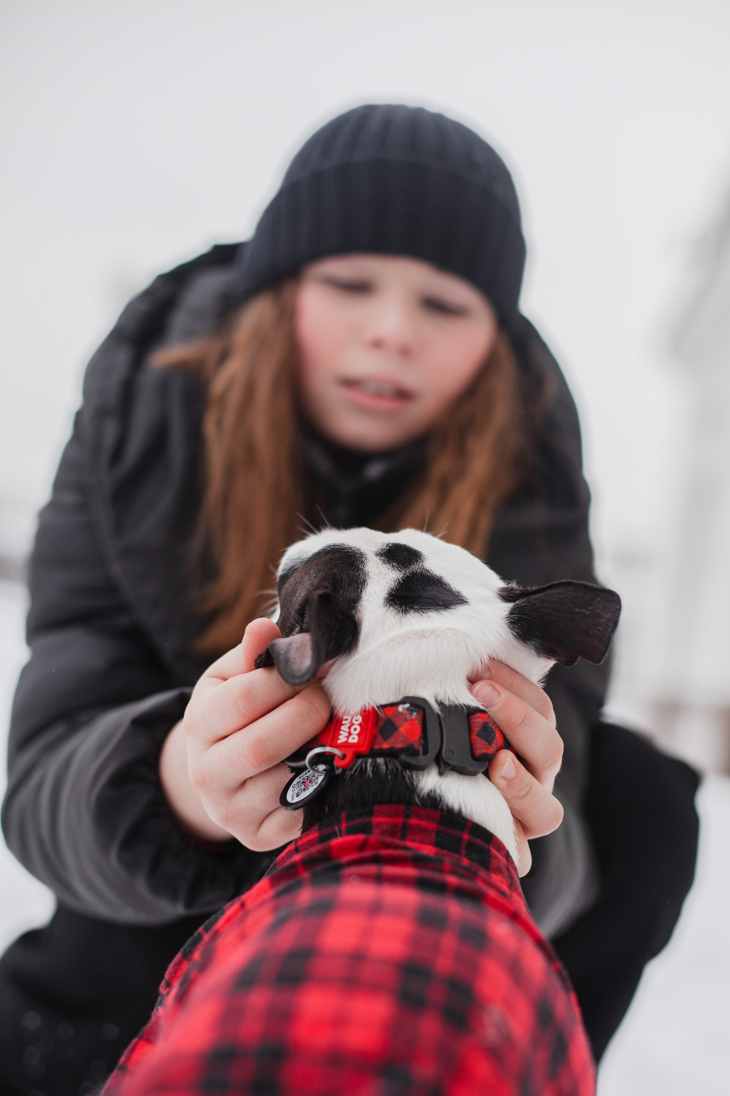 Василиса и Мира Кузнецкий мост. Фотограф-анималист Татьяна Степанова