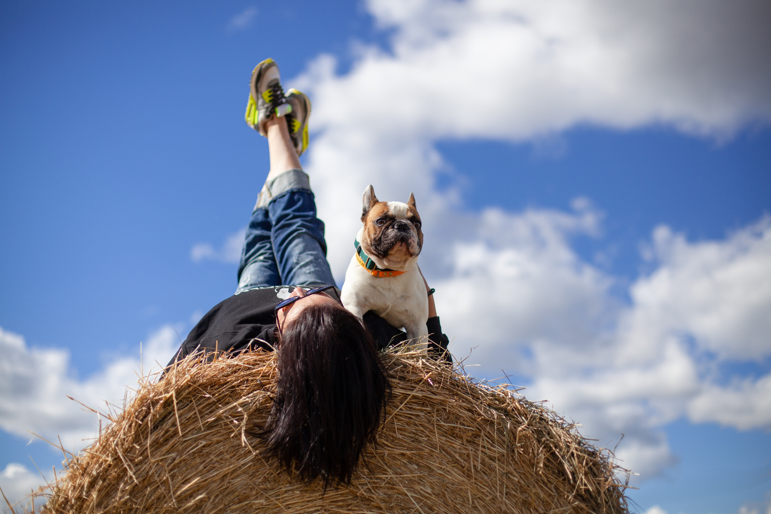 Коломна, стога и подсолнухи. Фотограф-анималист Татьяна Степанова