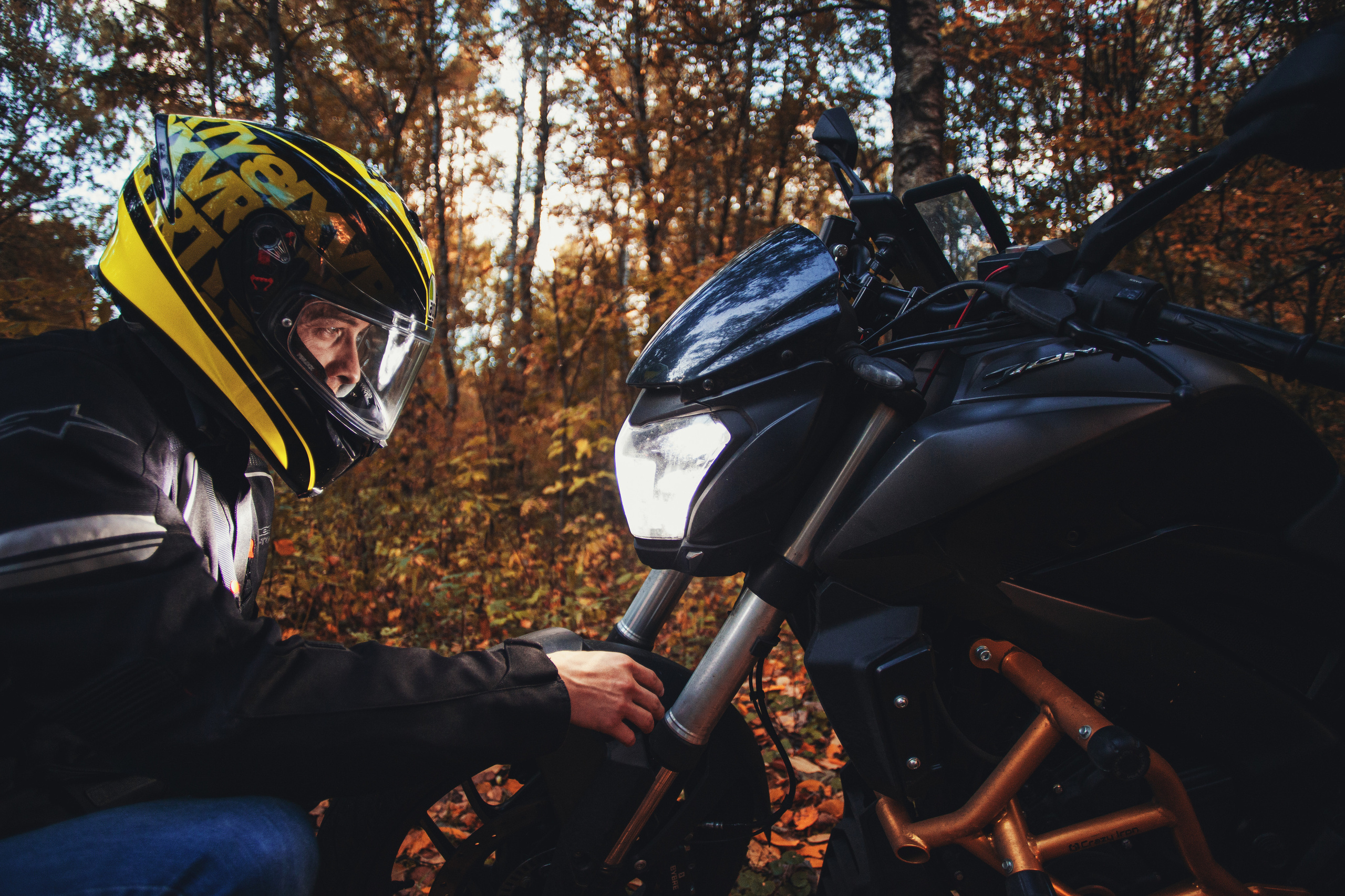 Кристина и Олег в Алешкинском лесопарке. Фотограф-анималист Татьяна Степанова