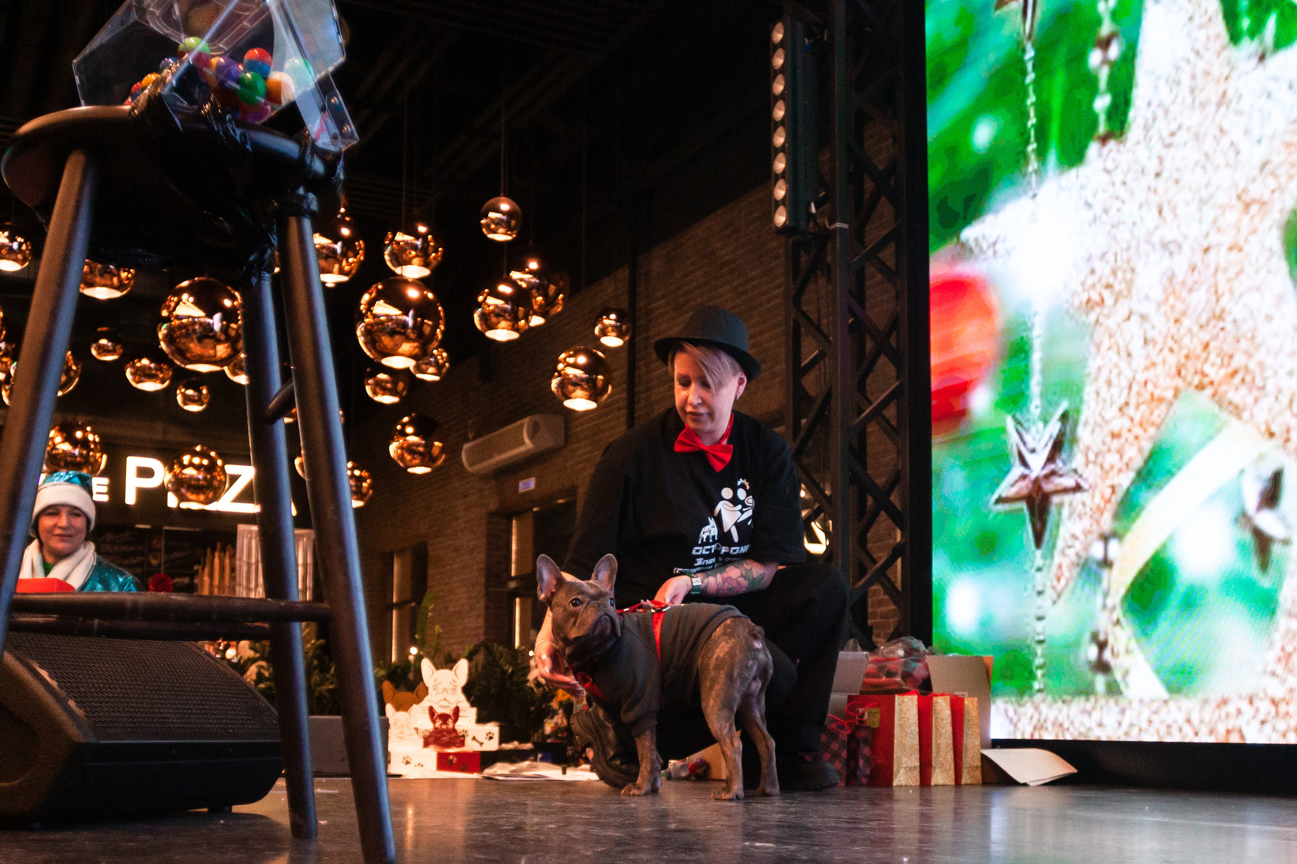 Бульелка 2022. Фотограф-анималист Татьяна Степанова