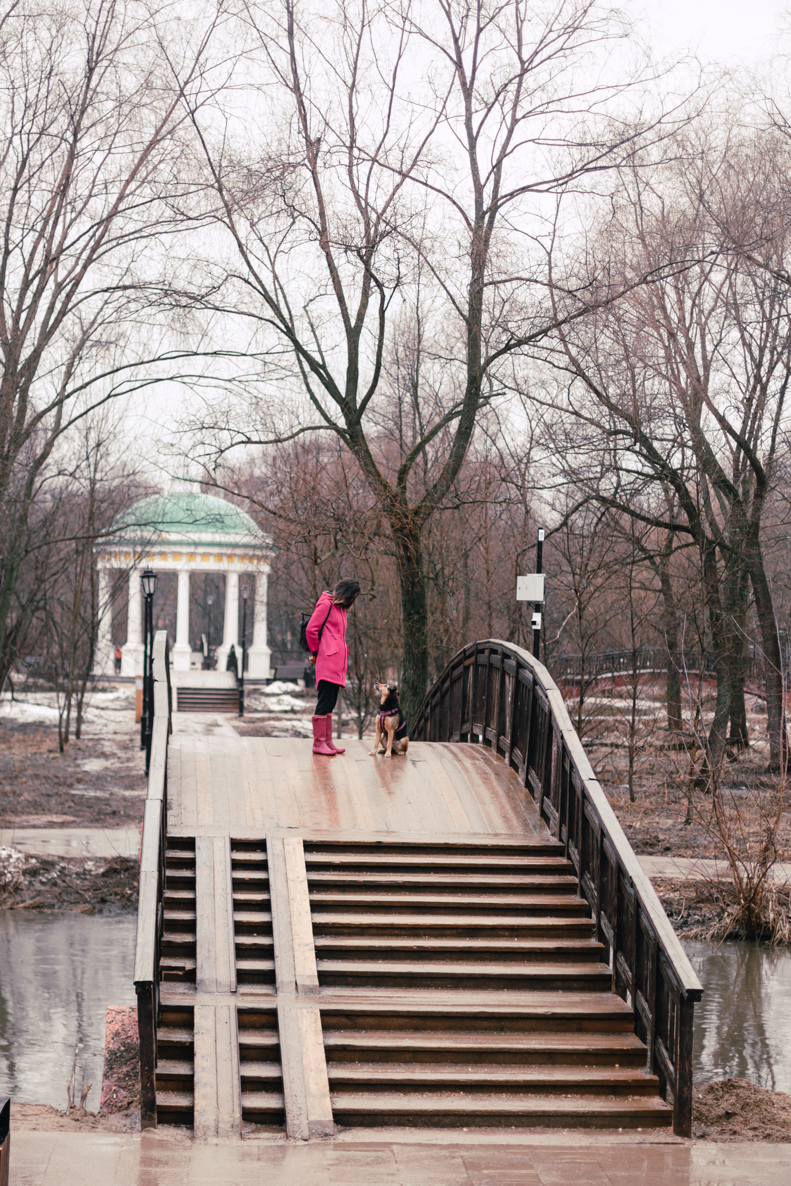 Лиза и Бренда. Фотограф-анималист Татьяна Степанова