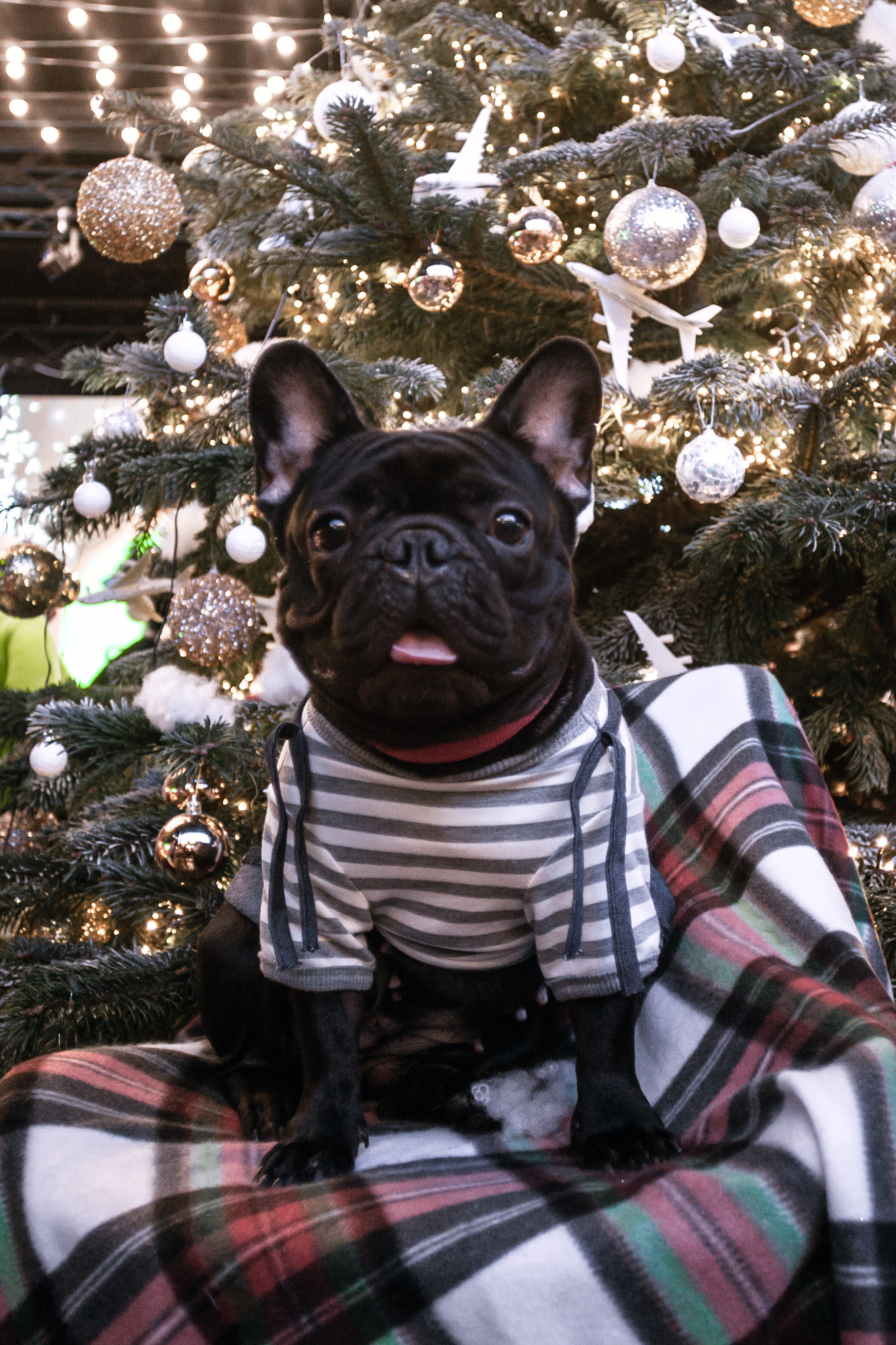 Бульелка 2022. Фотограф-анималист Татьяна Степанова