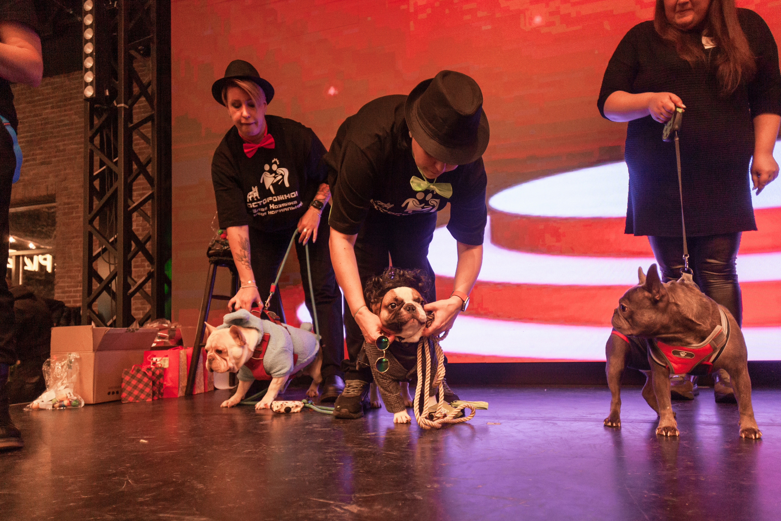 Бульелка 2022. Фотограф-анималист Татьяна Степанова