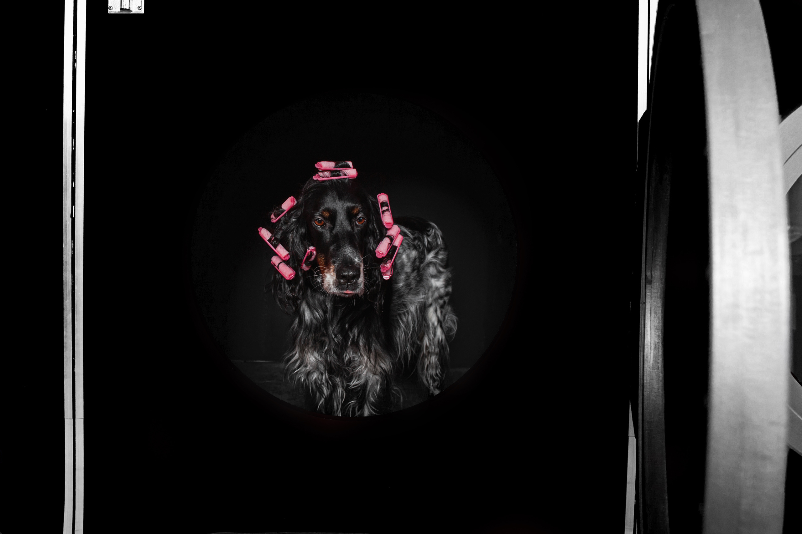 Света и Богдана. Фотограф-анималист Татьяна Степанова