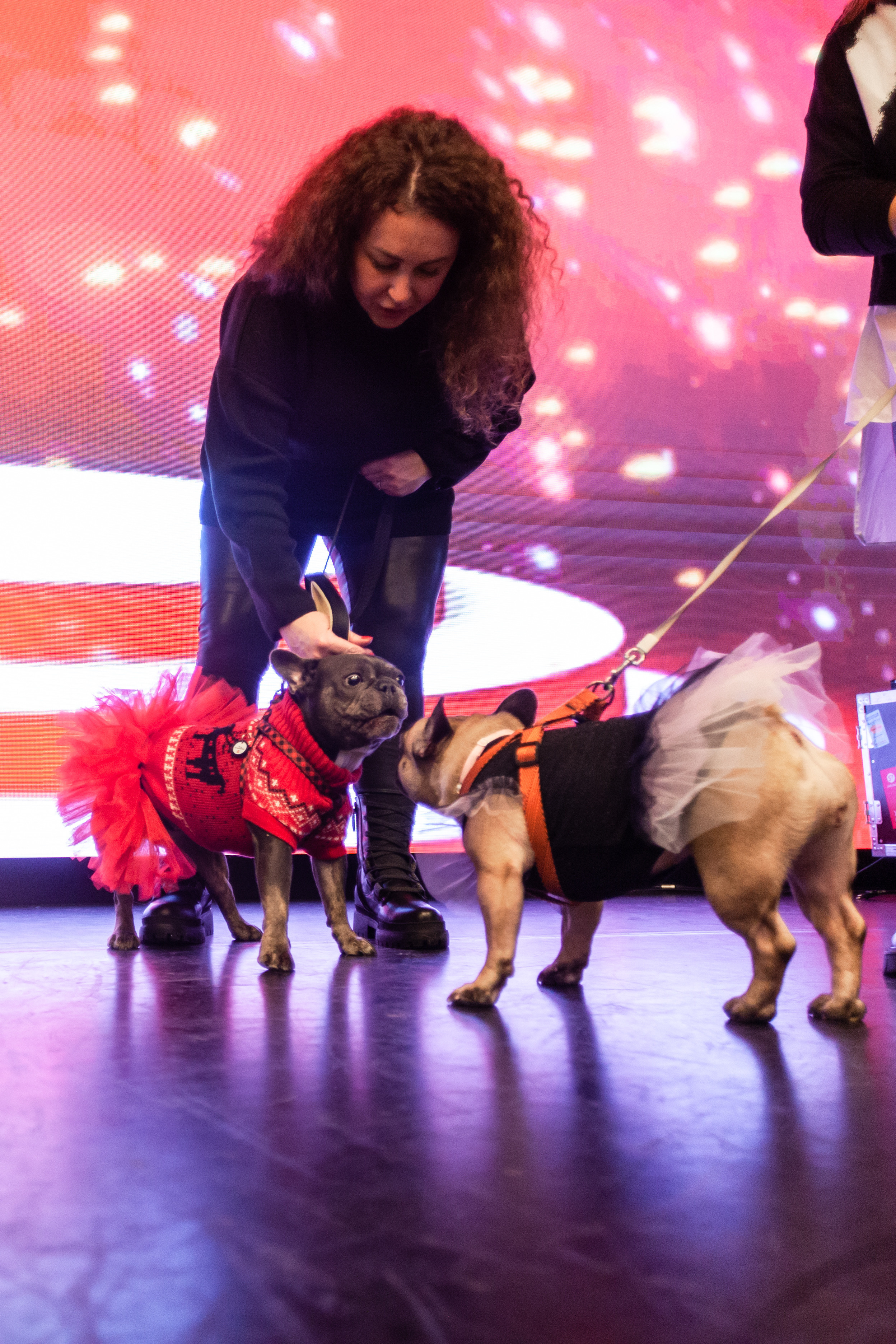 Бульелка 2022. Фотограф-анималист Татьяна Степанова