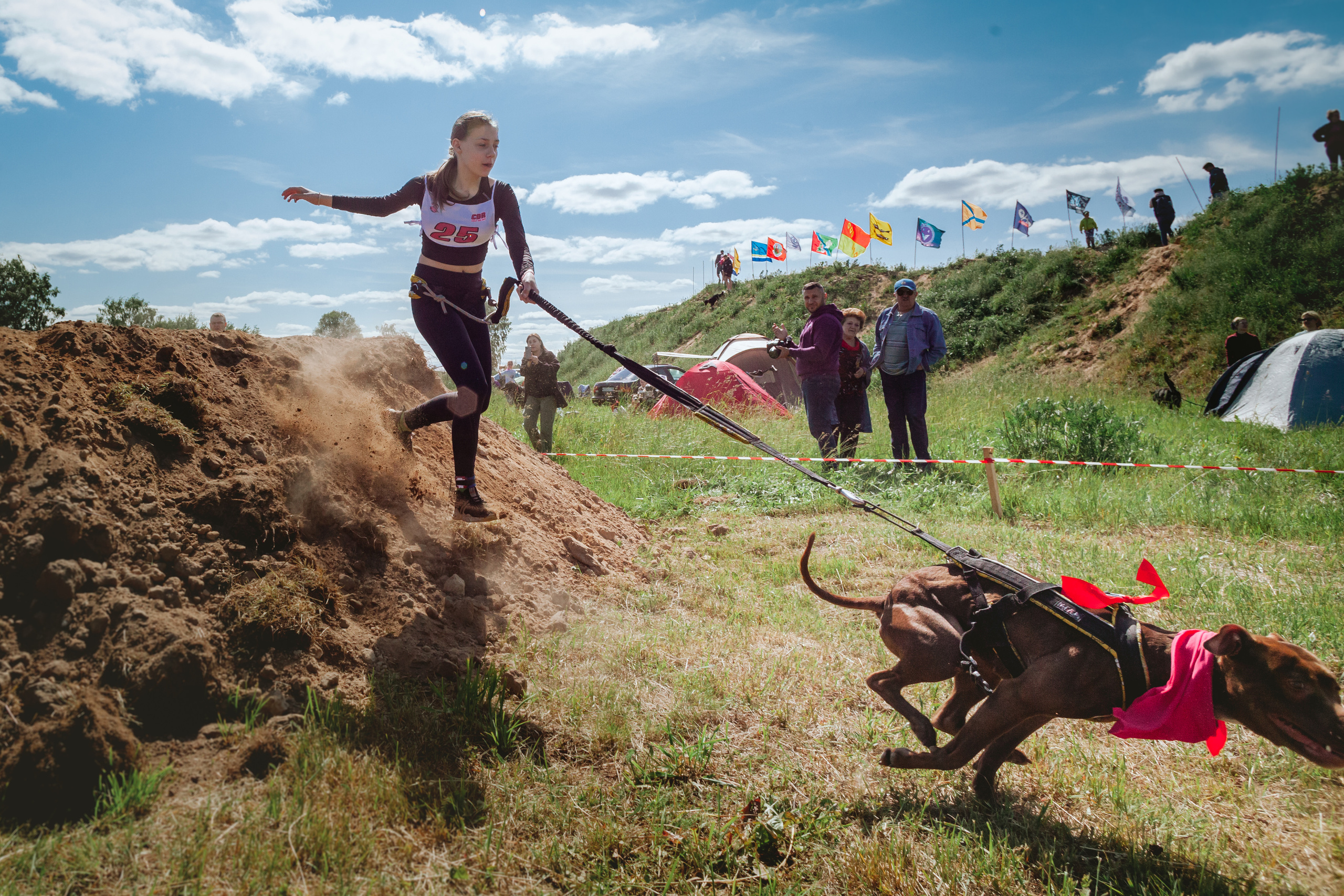 Хвостатый Драйв 11.06.2023. Фотограф-анималист Татьяна Степанова