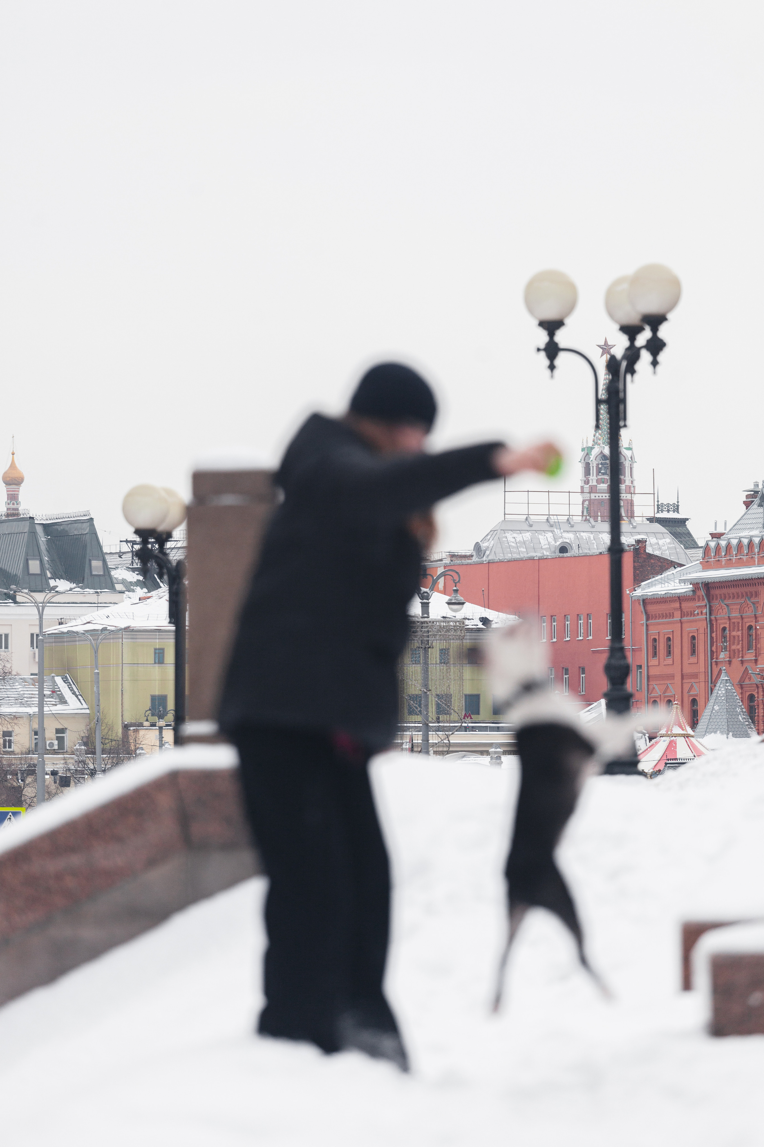 Василиса и Мира Кузнецкий мост. Фотограф-анималист Татьяна Степанова