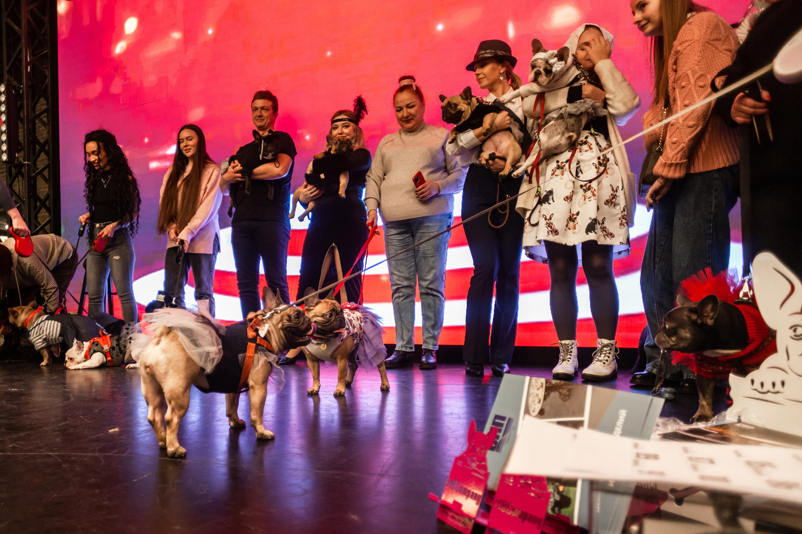 Бульелка 2022. Фотограф-анималист Татьяна Степанова