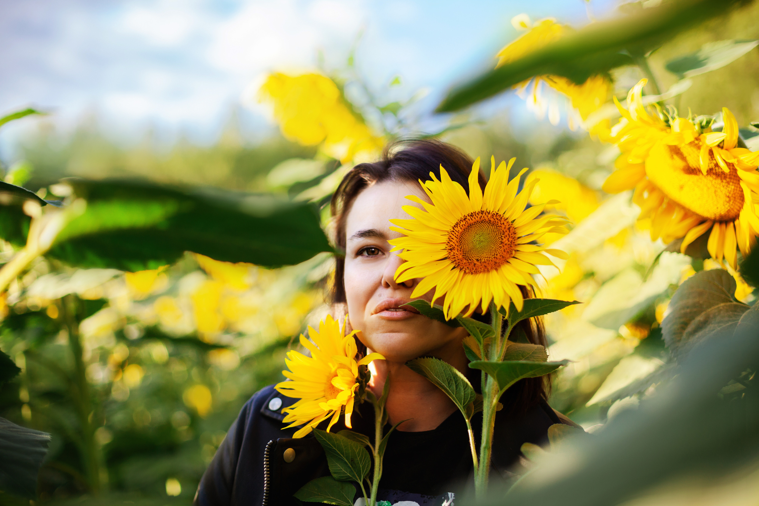 Коломна, стога и подсолнухи. Фотограф-анималист Татьяна Степанова