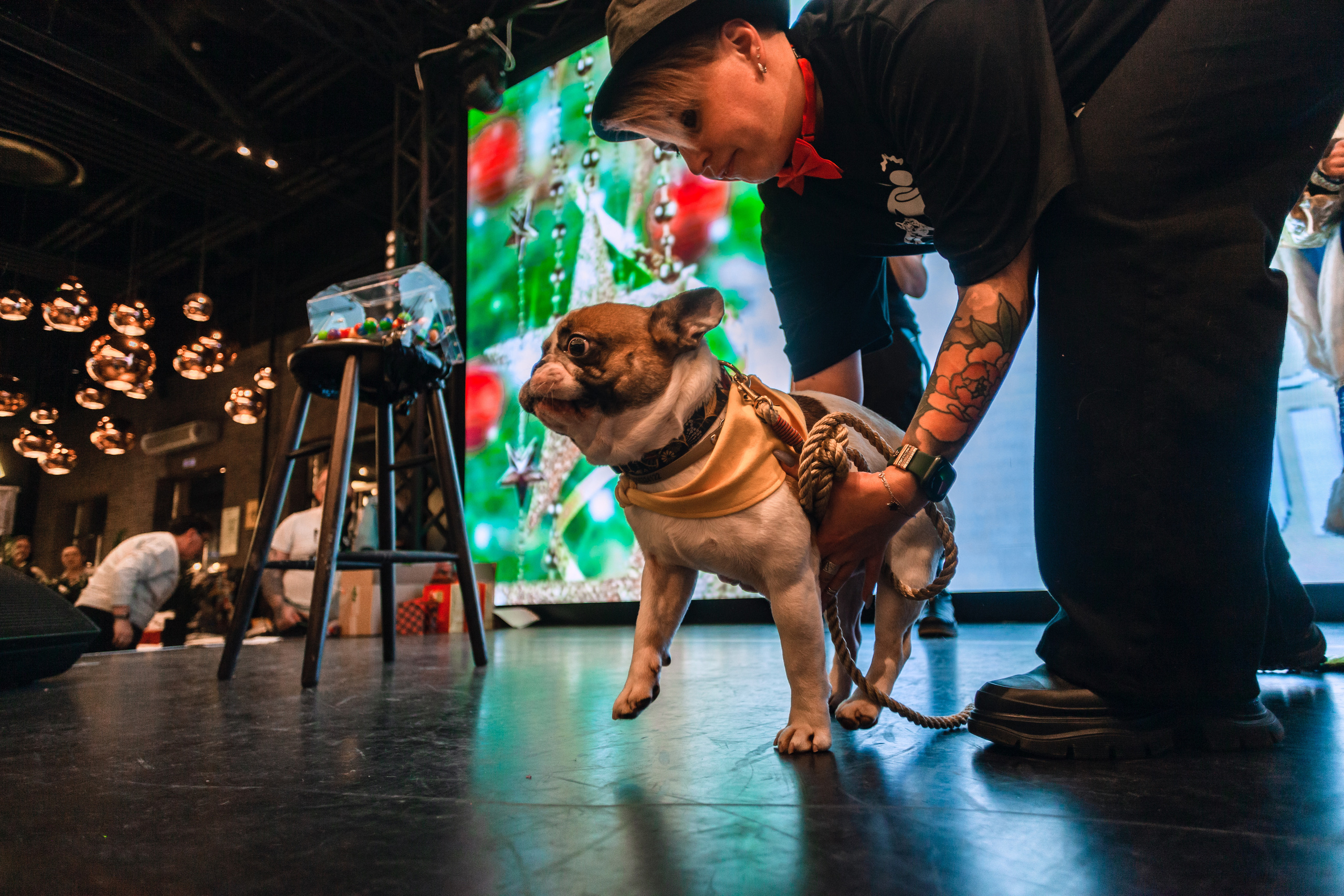 Бульелка 2022. Фотограф-анималист Татьяна Степанова