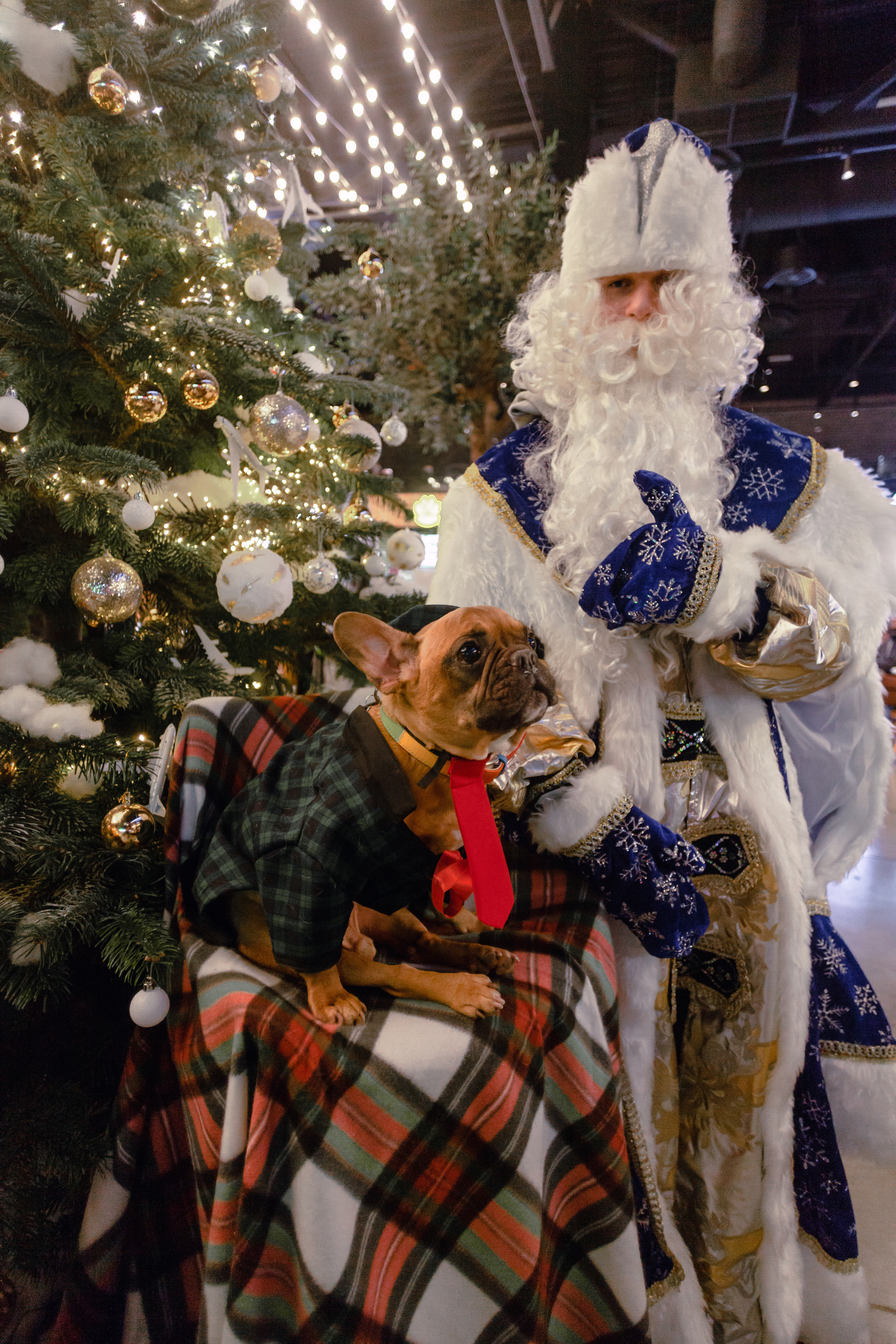 Бульелка 2022. Фотограф-анималист Татьяна Степанова