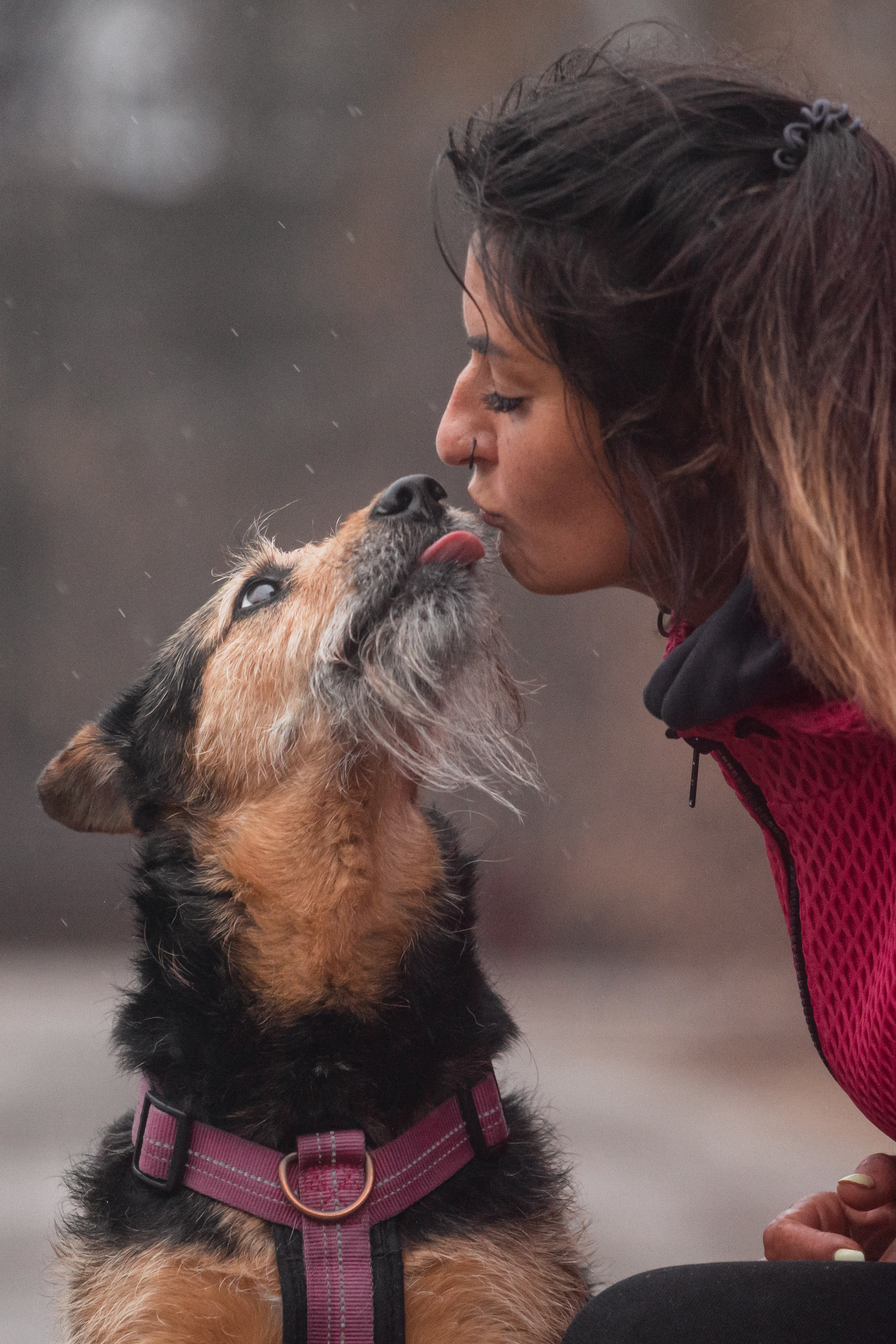 Лиза и Бренда. Фотограф-анималист Татьяна Степанова